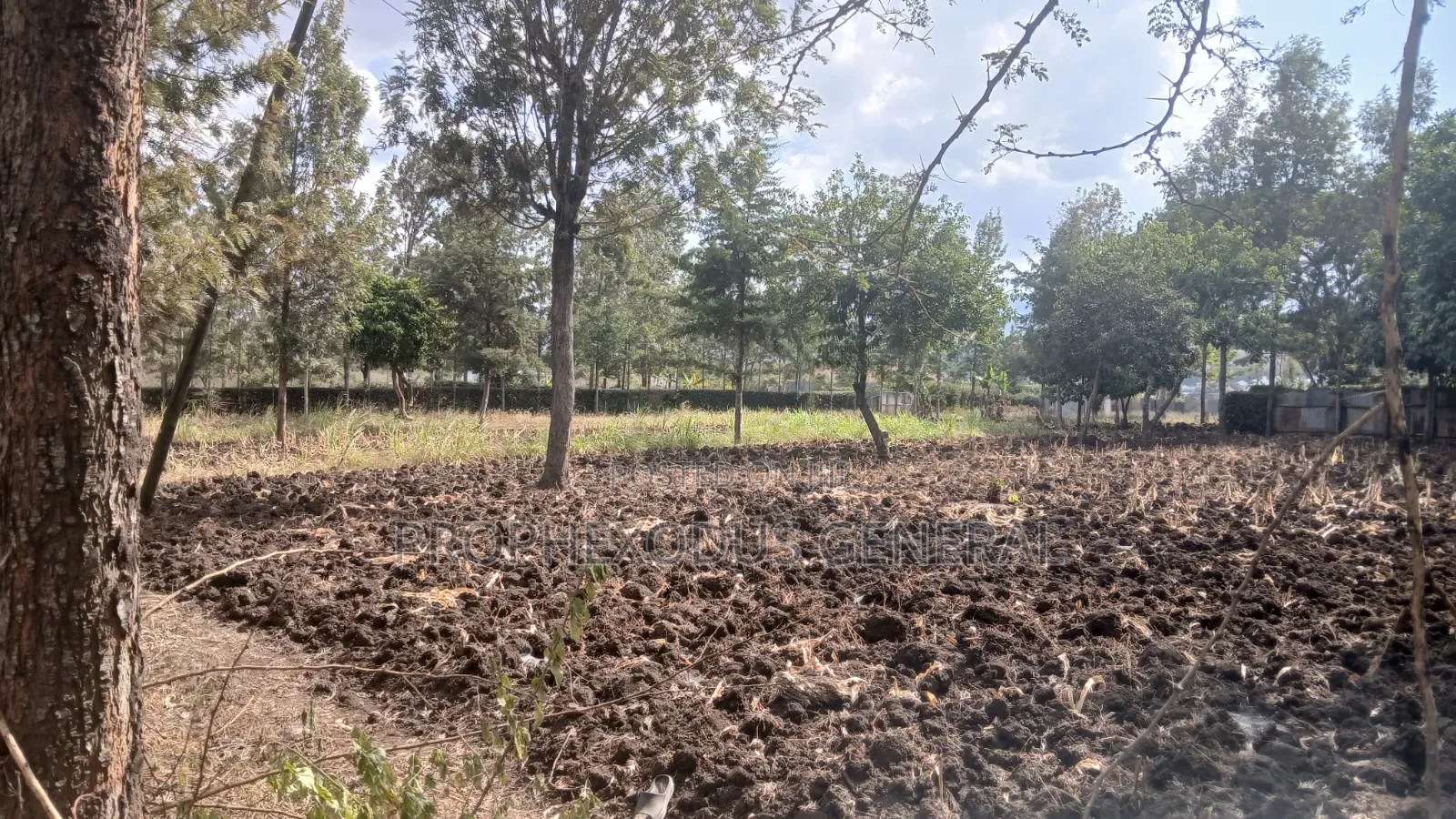 1/4 Plots for Sale in Ongata Rongai Nkoroi Kamura Oloika Road. in Nkoroi