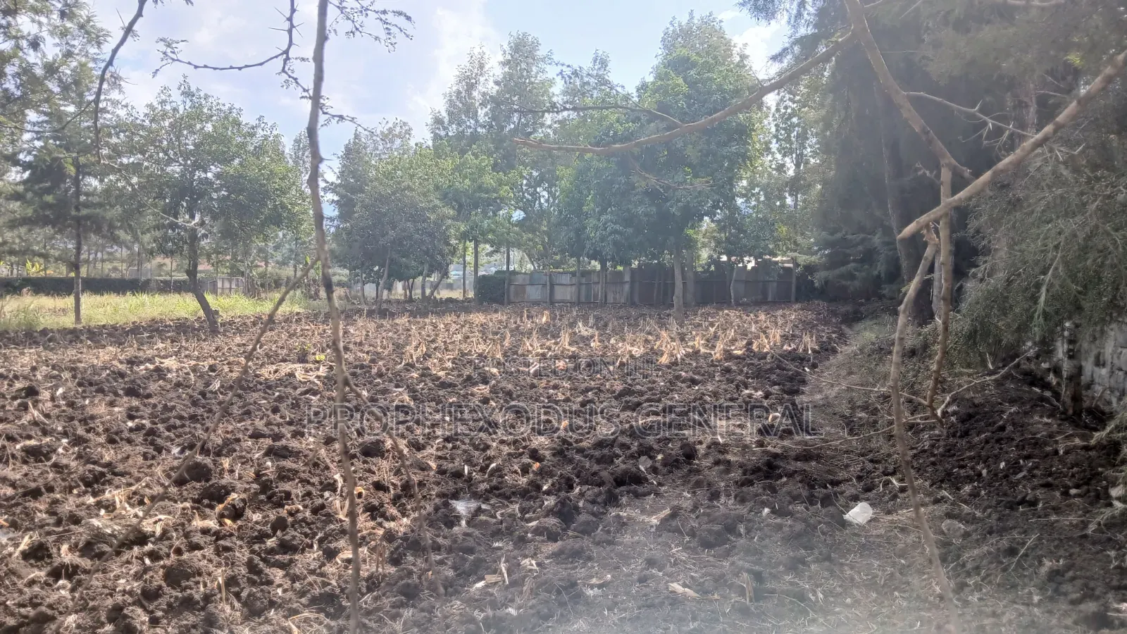 1/4 Plots for Sale in Ongata Rongai Nkoroi Kamura Oloika Road. in Nkoroi