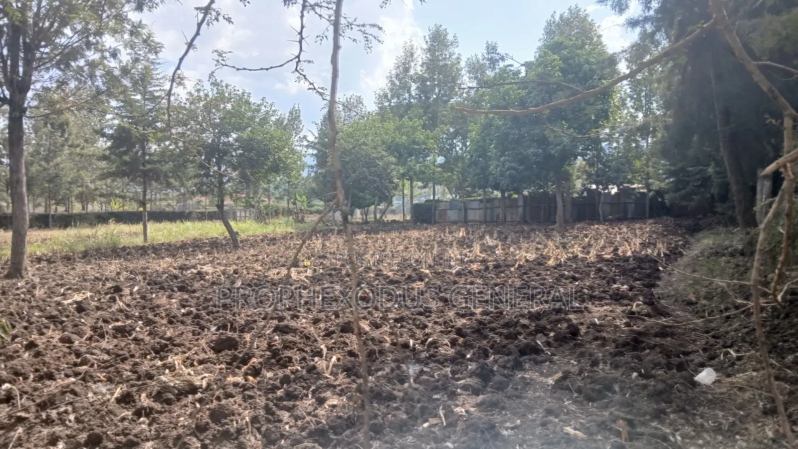 1/4 Plots for Sale in Ongata Rongai Nkoroi Kamura Oloika Road. in Nkoroi