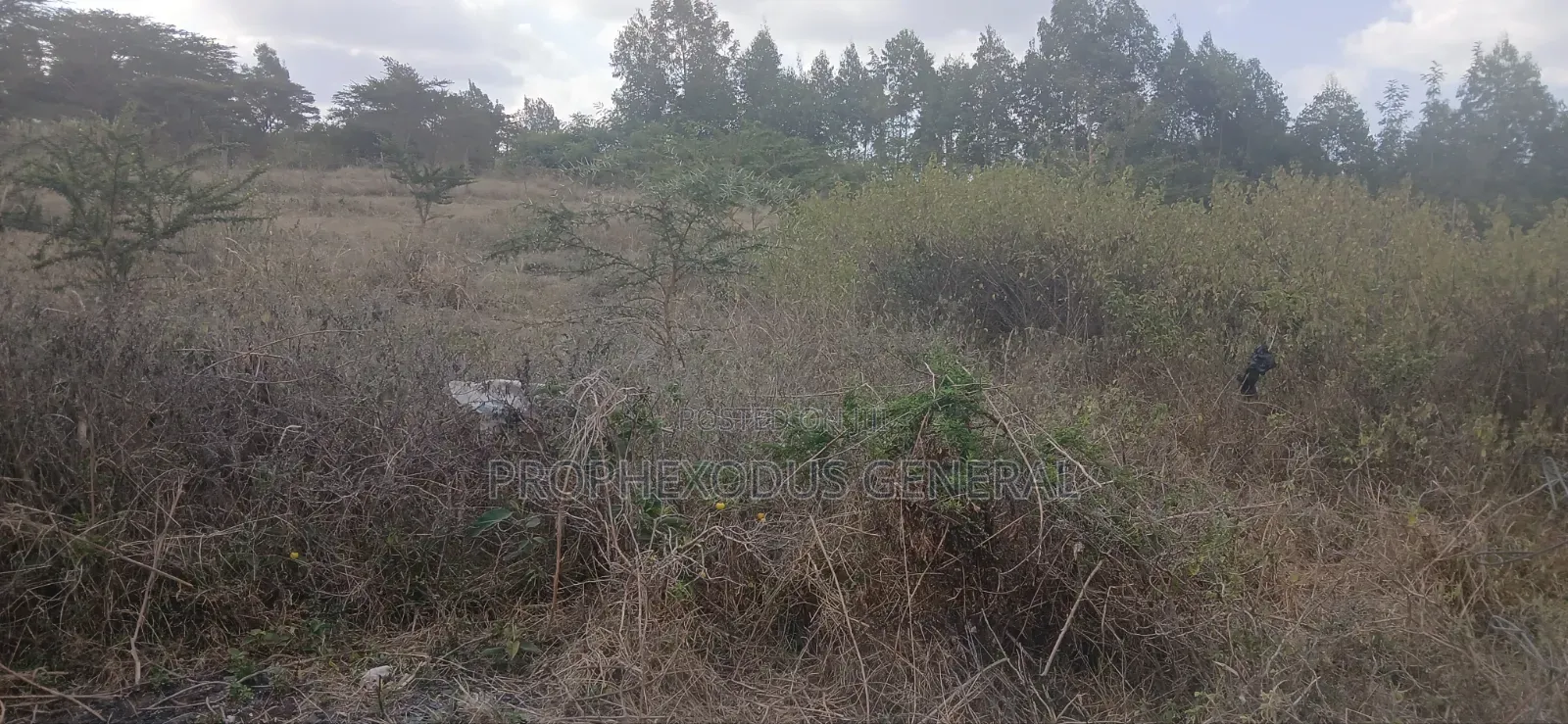 1/4 Plots for Sale in Ongata Rongai Nkoroi Kamura Oloika Road. in Nkoroi