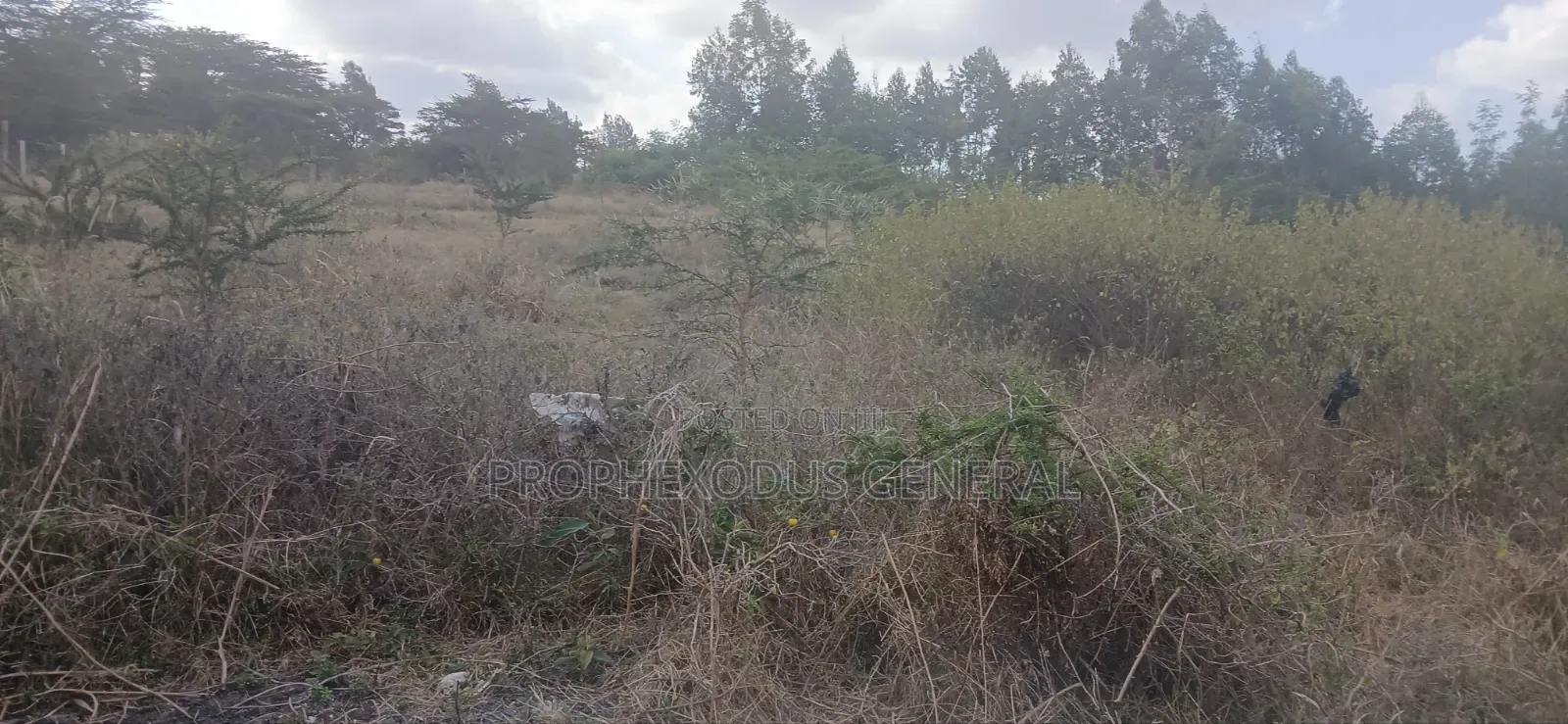 1/4 Plots for Sale in Ongata Rongai Nkoroi Kamura Oloika Road. in Nkoroi