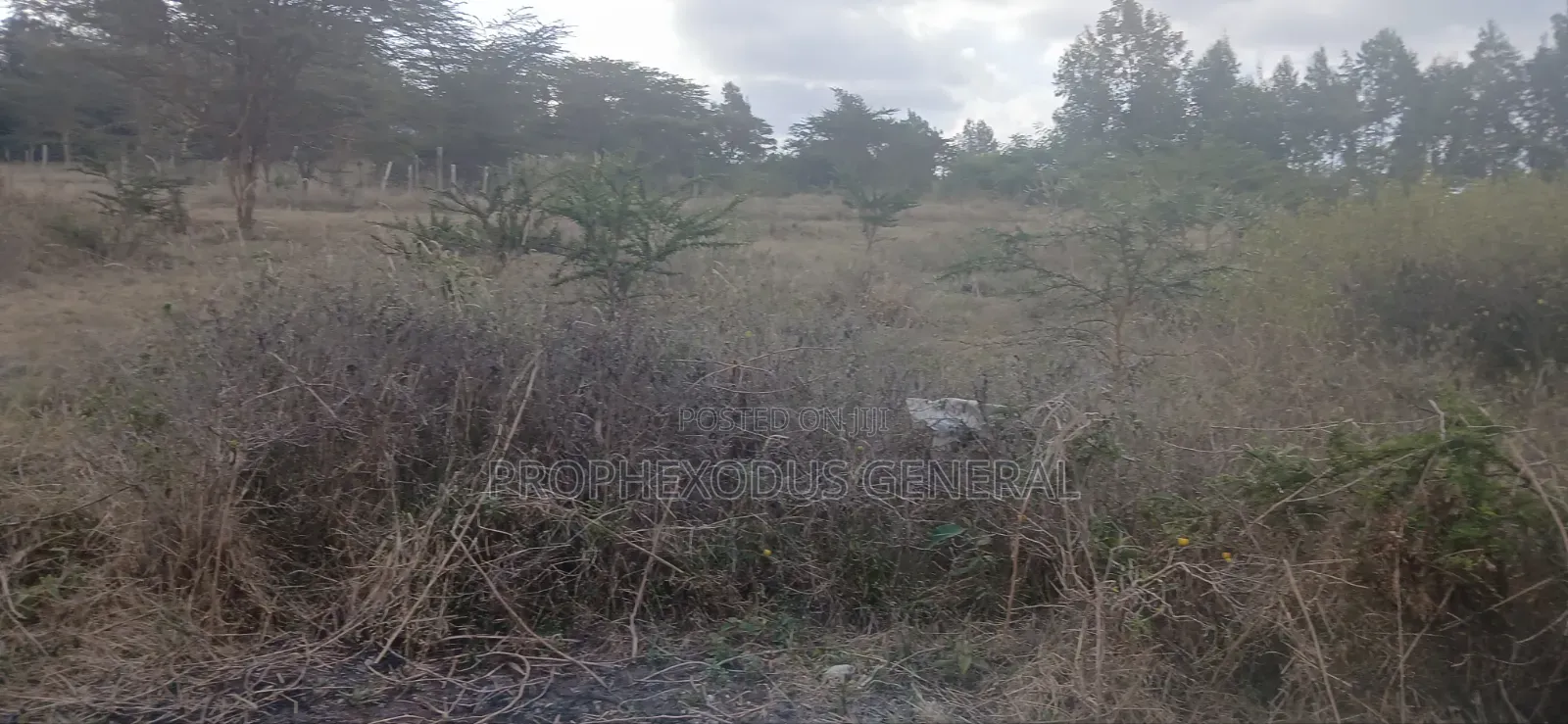 1/4 Plots for Sale in Ongata Rongai Nkoroi Kamura Oloika Road. in Nkoroi