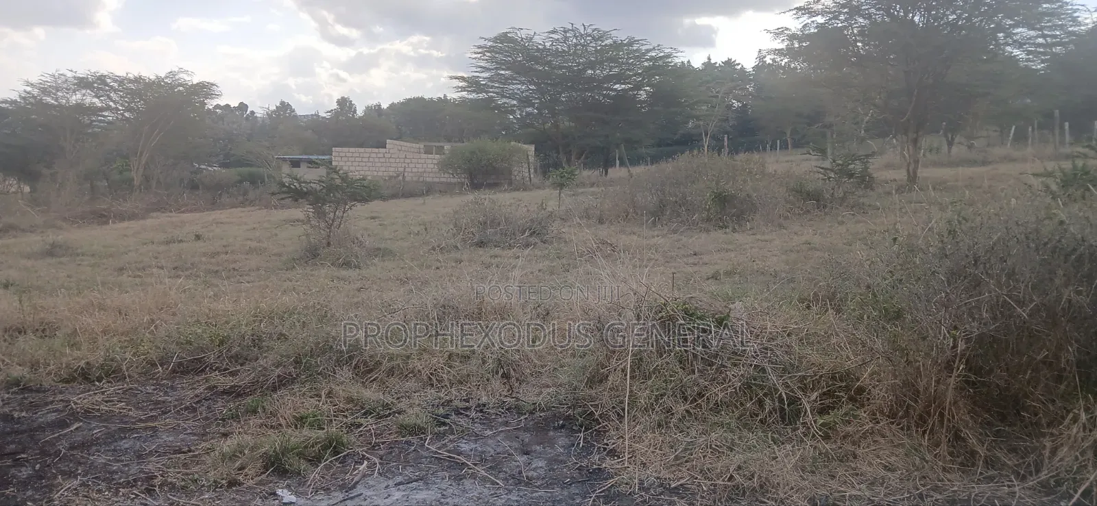 1/4 Plots for Sale in Ongata Rongai Nkoroi Kamura Oloika Road. in Nkoroi