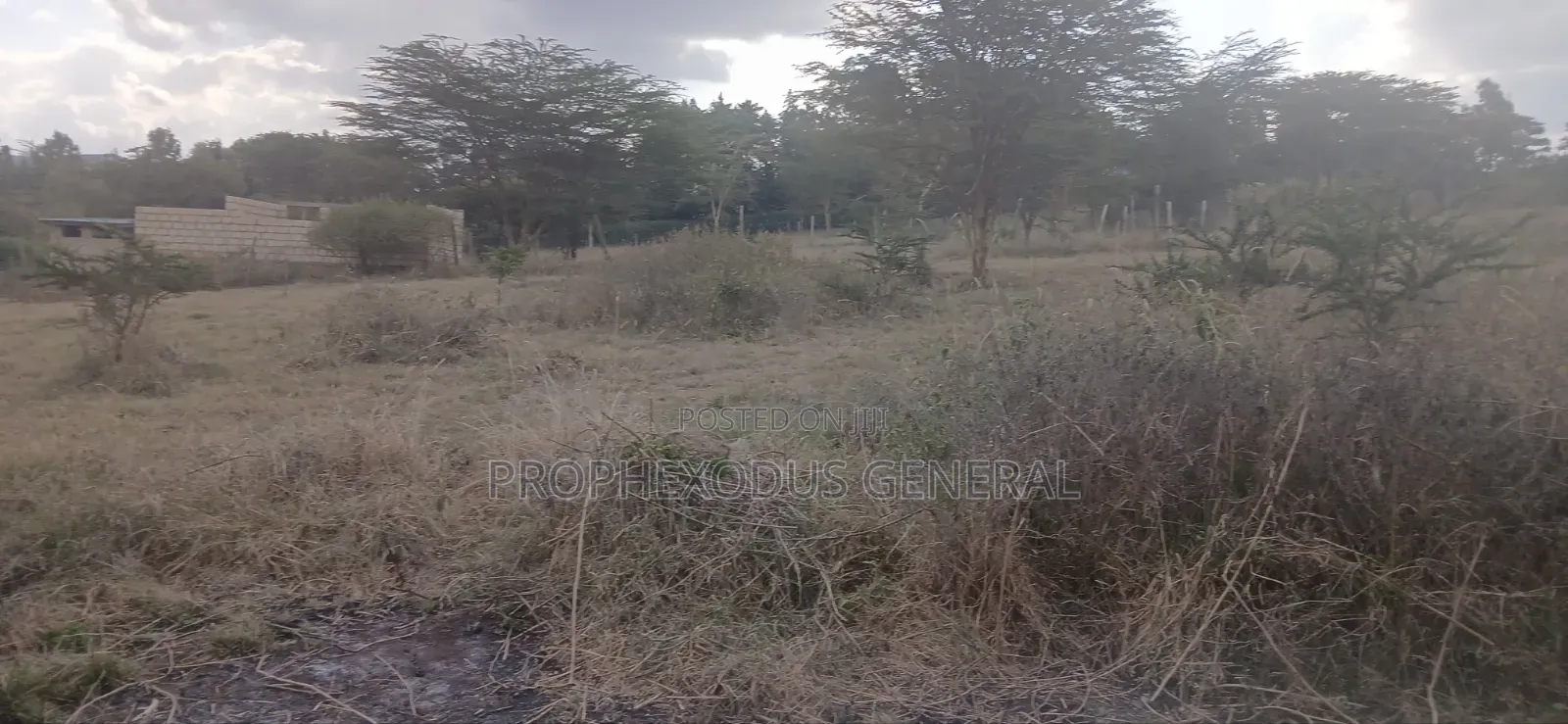 1/4 Plots for Sale in Ongata Rongai Nkoroi Kamura Oloika Road. in Nkoroi