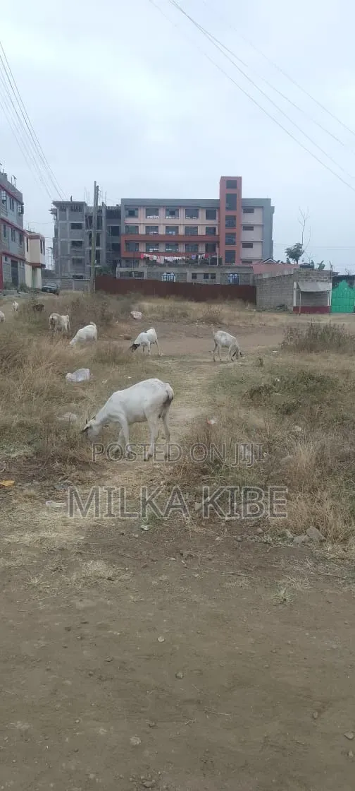 Mwihoko Commercial in Githurai