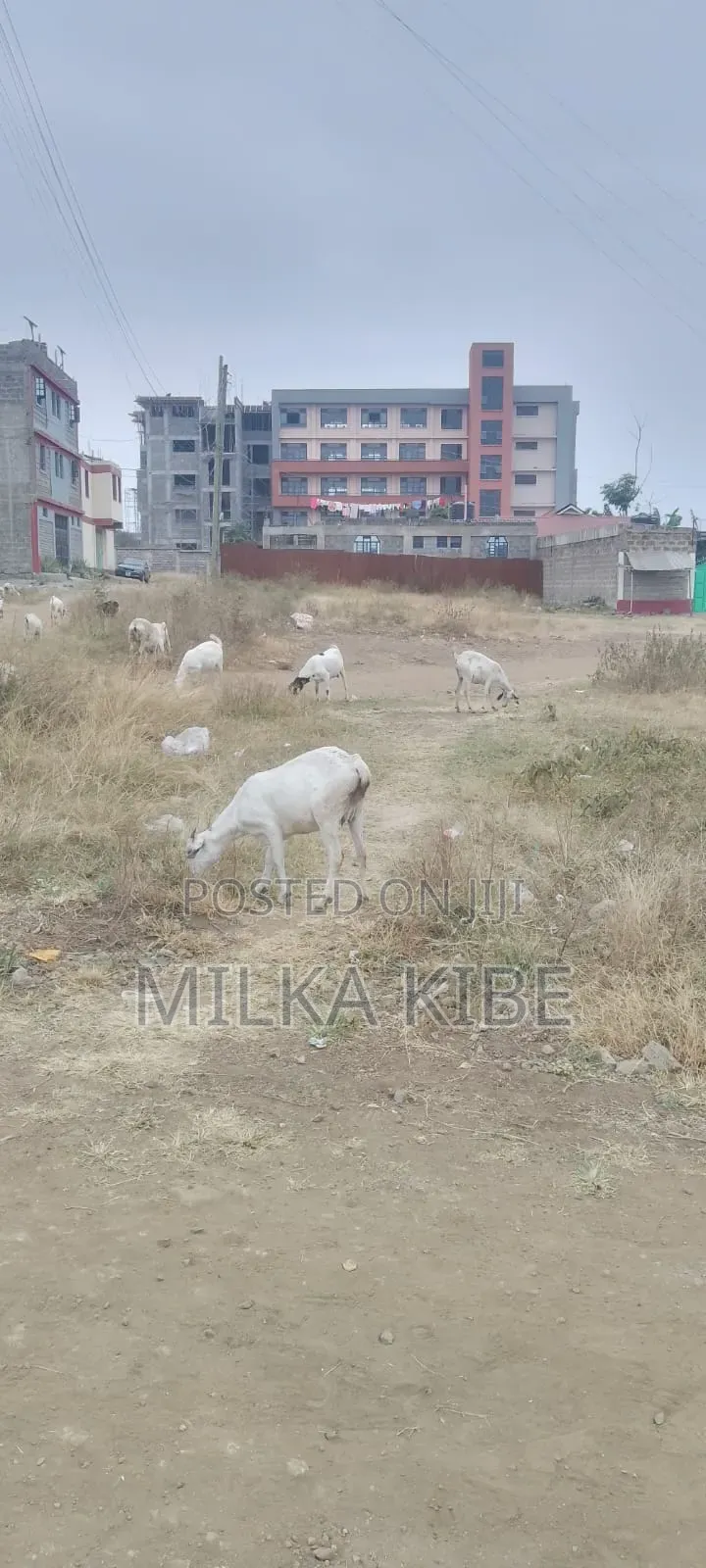 Mwihoko Commercial in Githurai