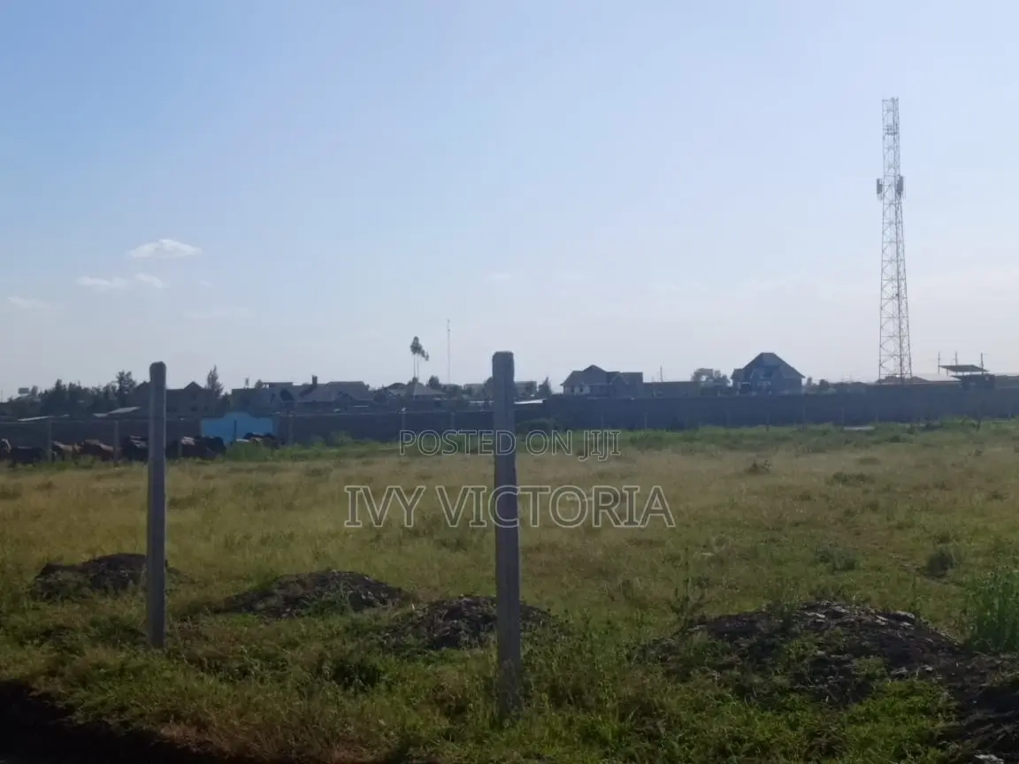 Affordable Joska Plots for Sales in Junction