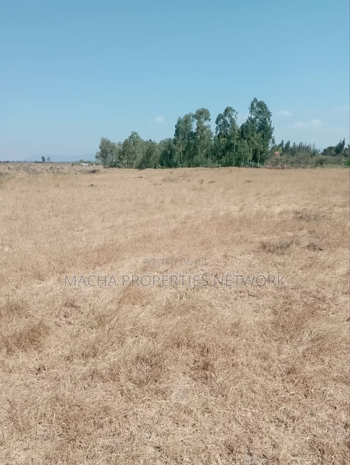 Kantafu 2 Acres Quick Sale Price.2.7M Per Acre. in Joska