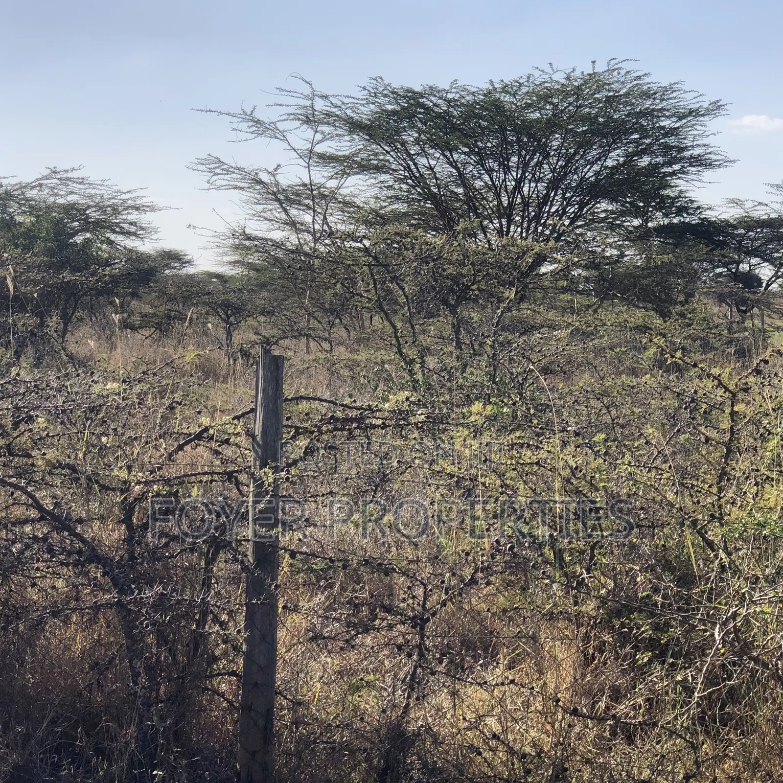 Prime 2 Acres in Tuala in Oloosirkon/Sholinke