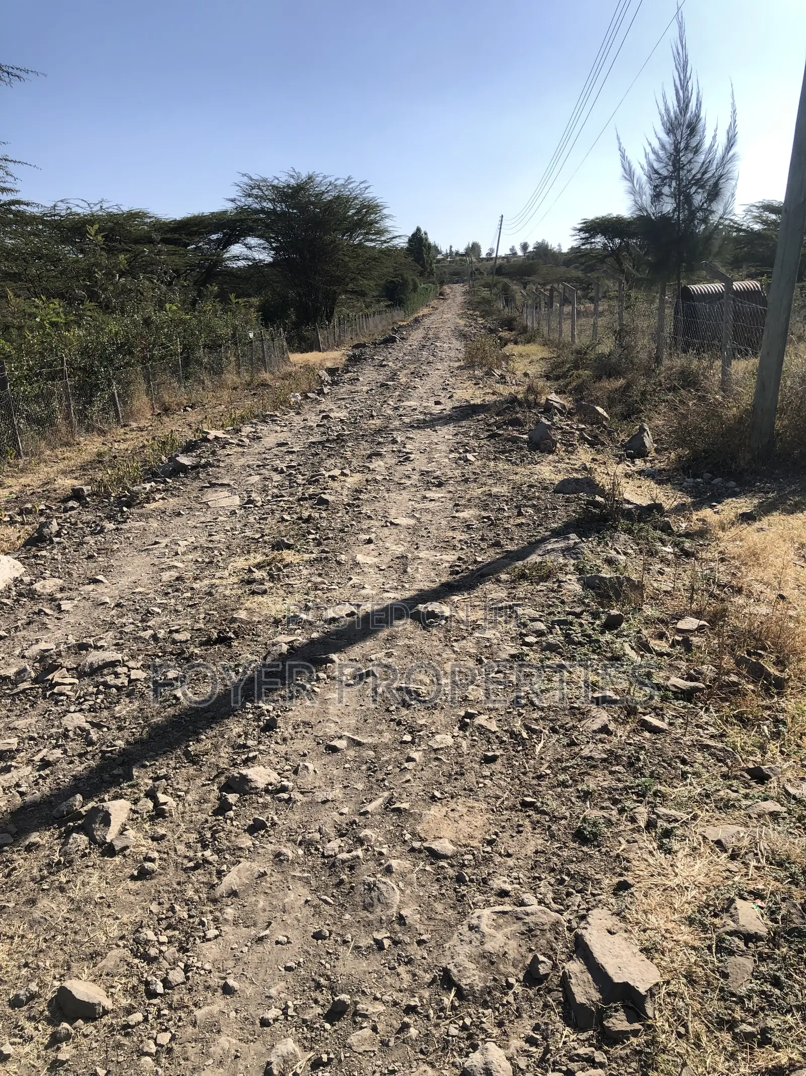 Prime 2 Acres in Tuala in Oloosirkon/Sholinke