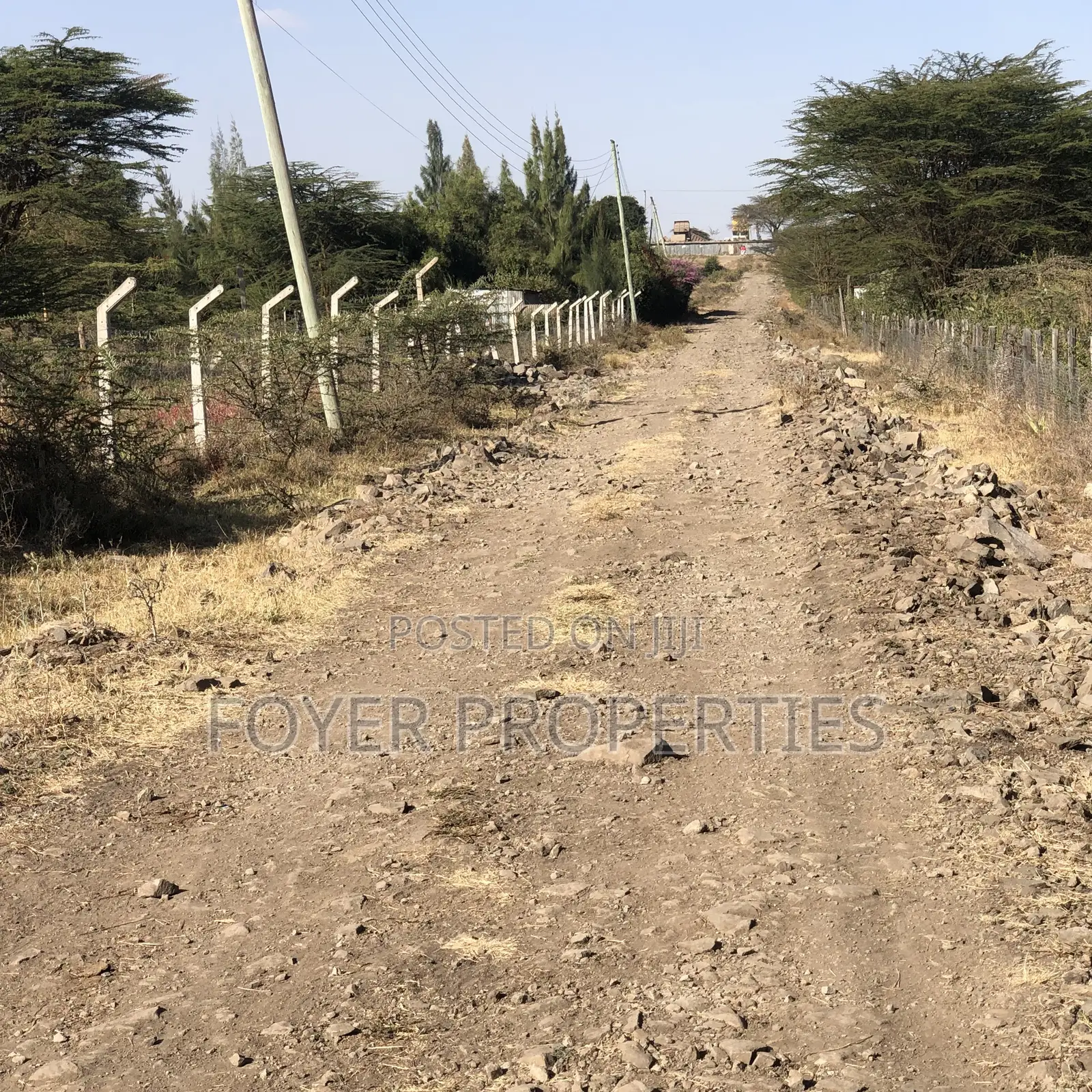 Prime 2 Acres in Tuala in Oloosirkon/Sholinke