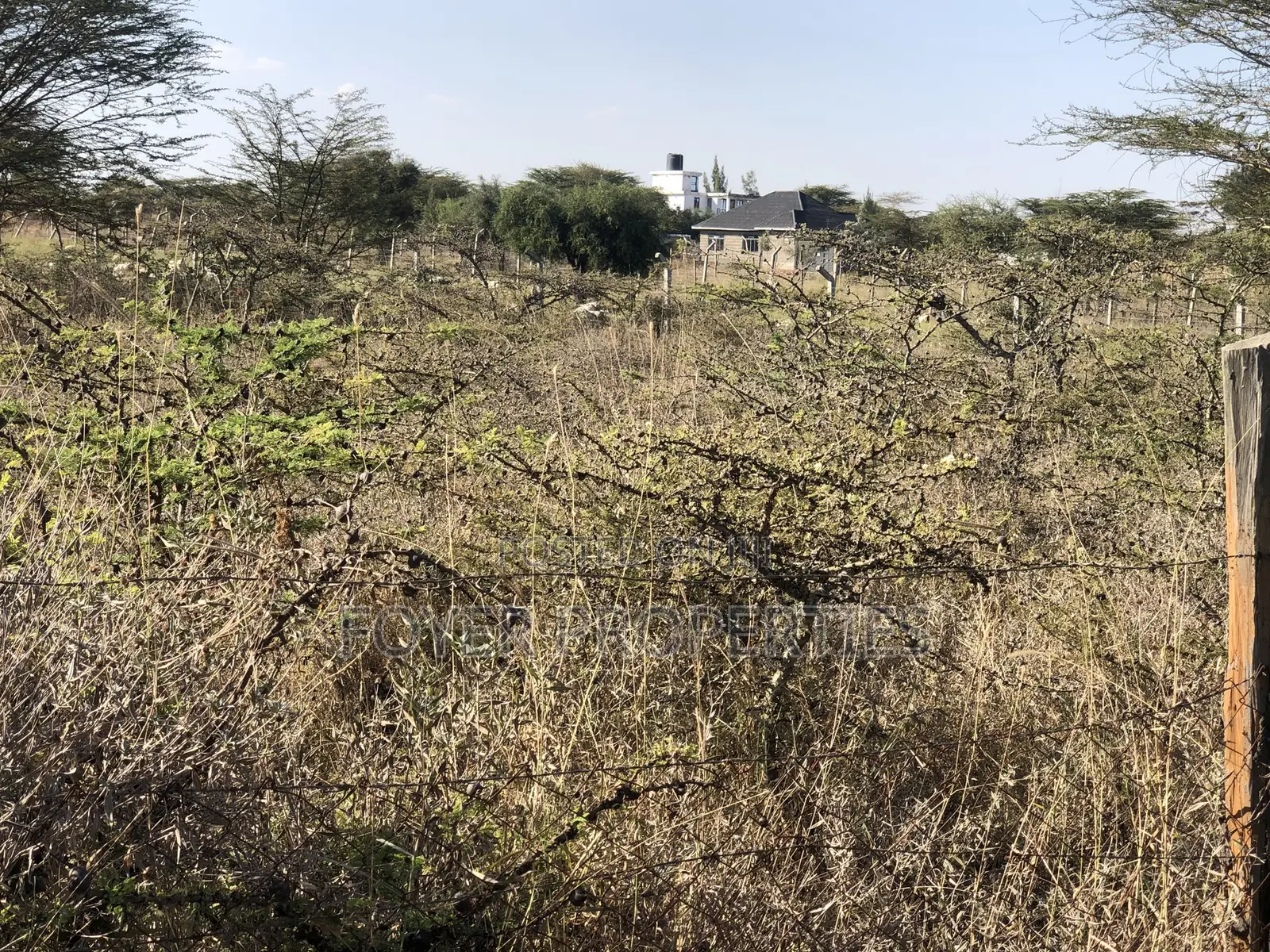 Prime 2 Acres in Tuala in Oloosirkon/Sholinke