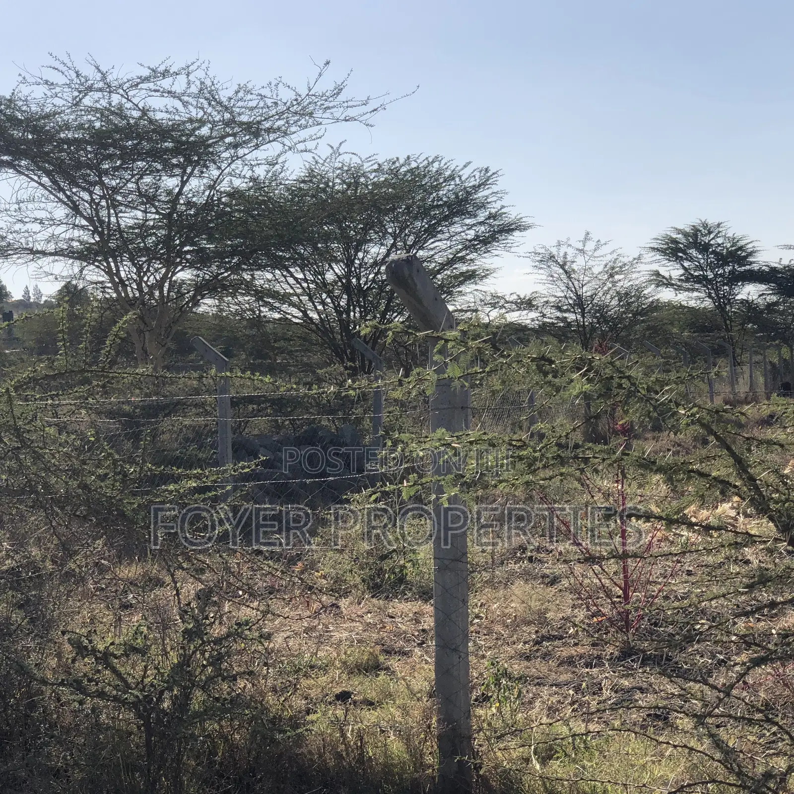 Prime 2 Acres in Tuala in Oloosirkon/Sholinke