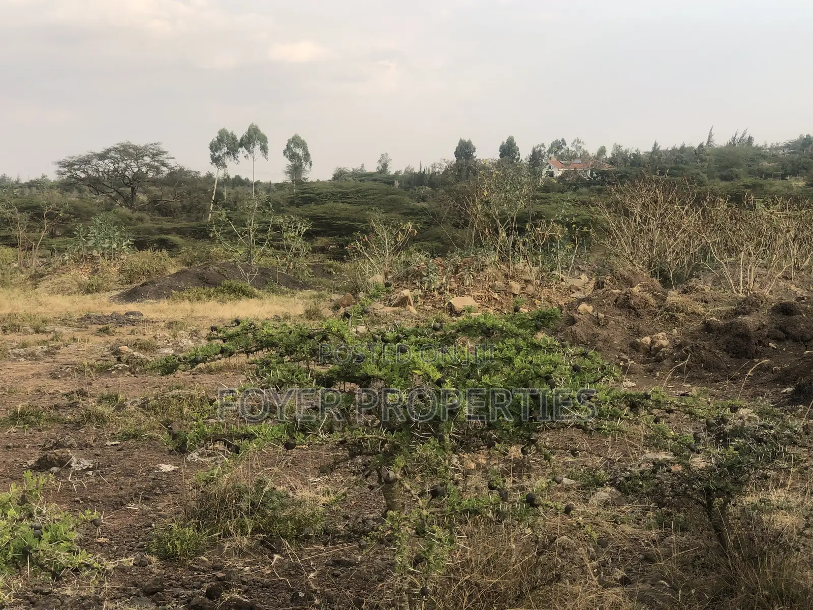 8 Acre Land in Tuala in Oloosirkon/Sholinke