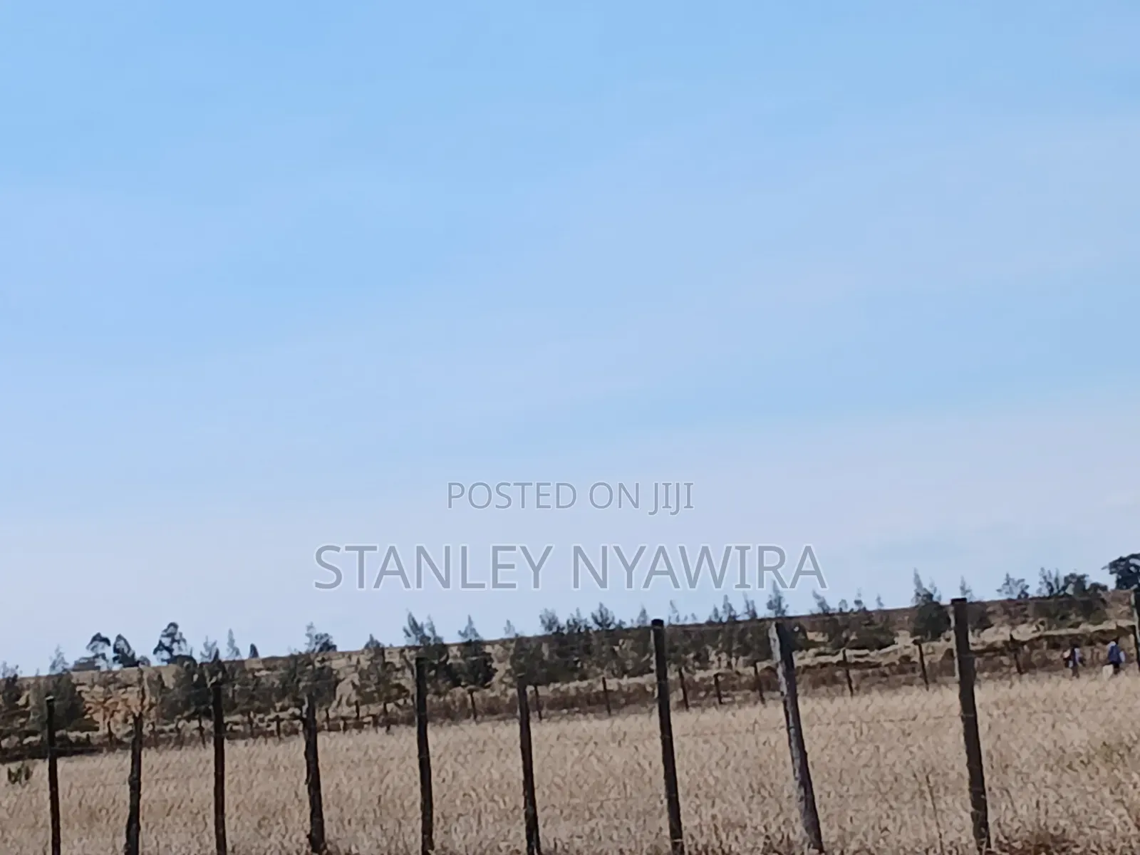 14 Acreas Touches Tarmac and River Along Nanyuki Nyeri Highway in Nanyuki