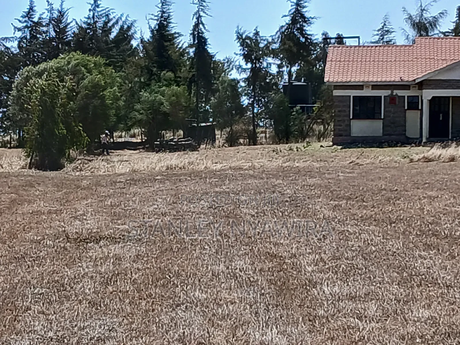 3acreas With Three Bedroom House Buy and Settle in Nanyuki