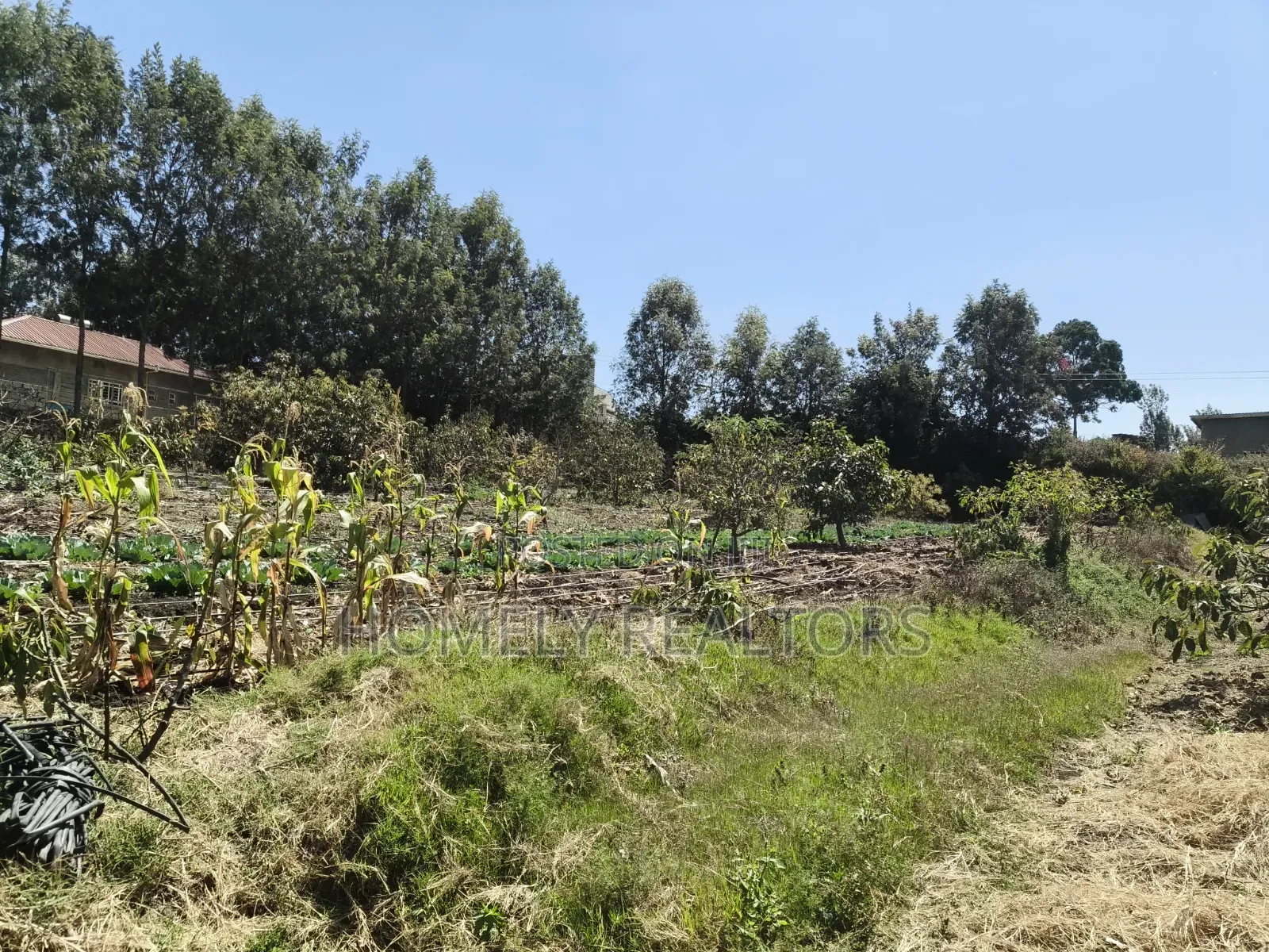 One Acre Piece of Land for Sale in Ngong, Ol Keri Near the Tarmac in Ol Keri
