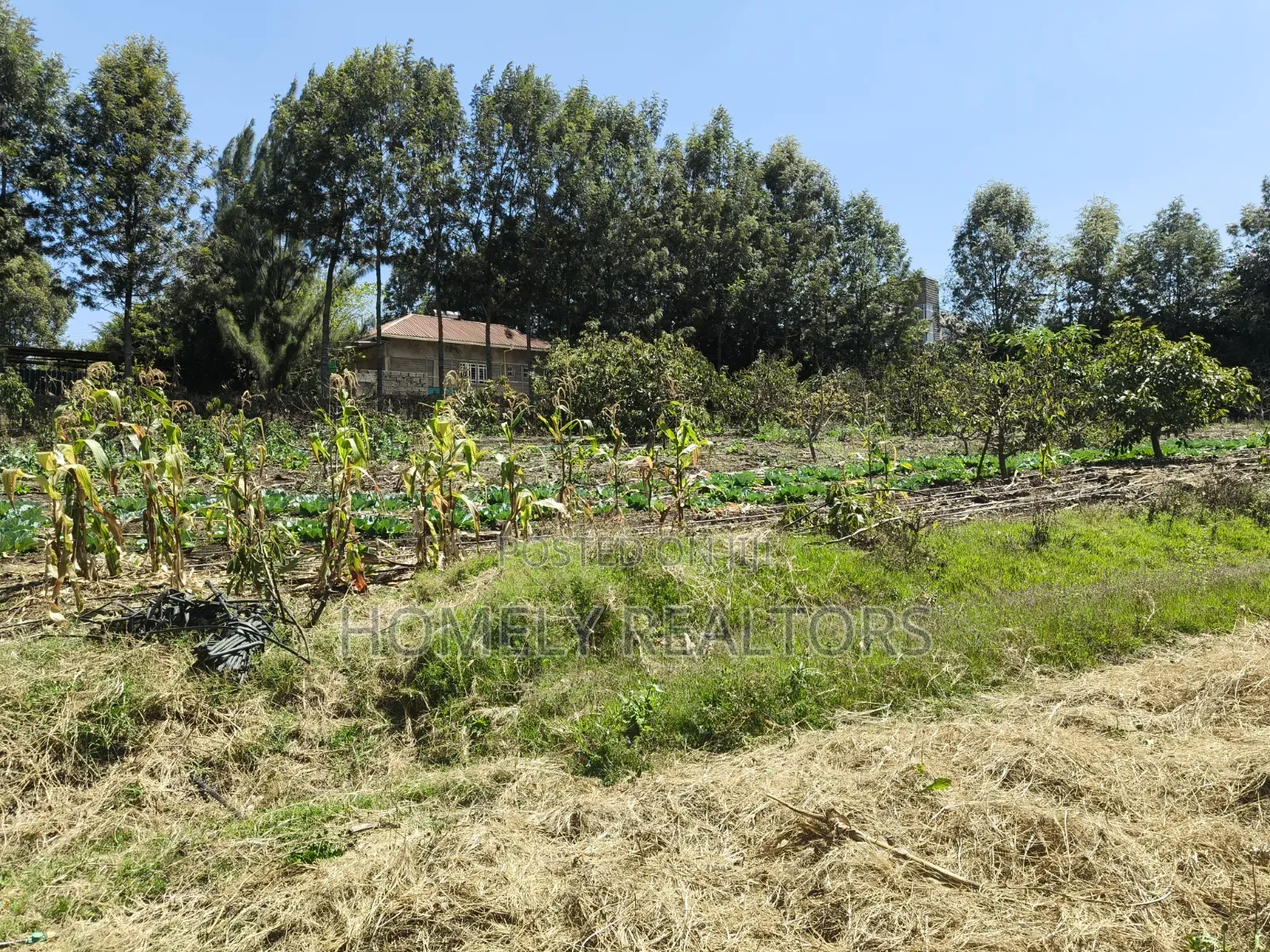 One Acre Piece of Land for Sale in Ngong, Ol Keri Near the Tarmac in Ol Keri