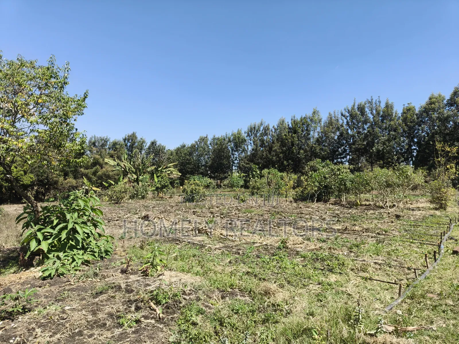One Acre Piece of Land for Sale in Ngong, Ol Keri Near the Tarmac in Ol Keri