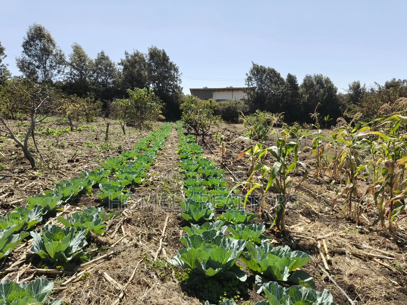 One Acre Piece of Land for Sale in Ngong, Ol Keri Near the Tarmac in Ol Keri