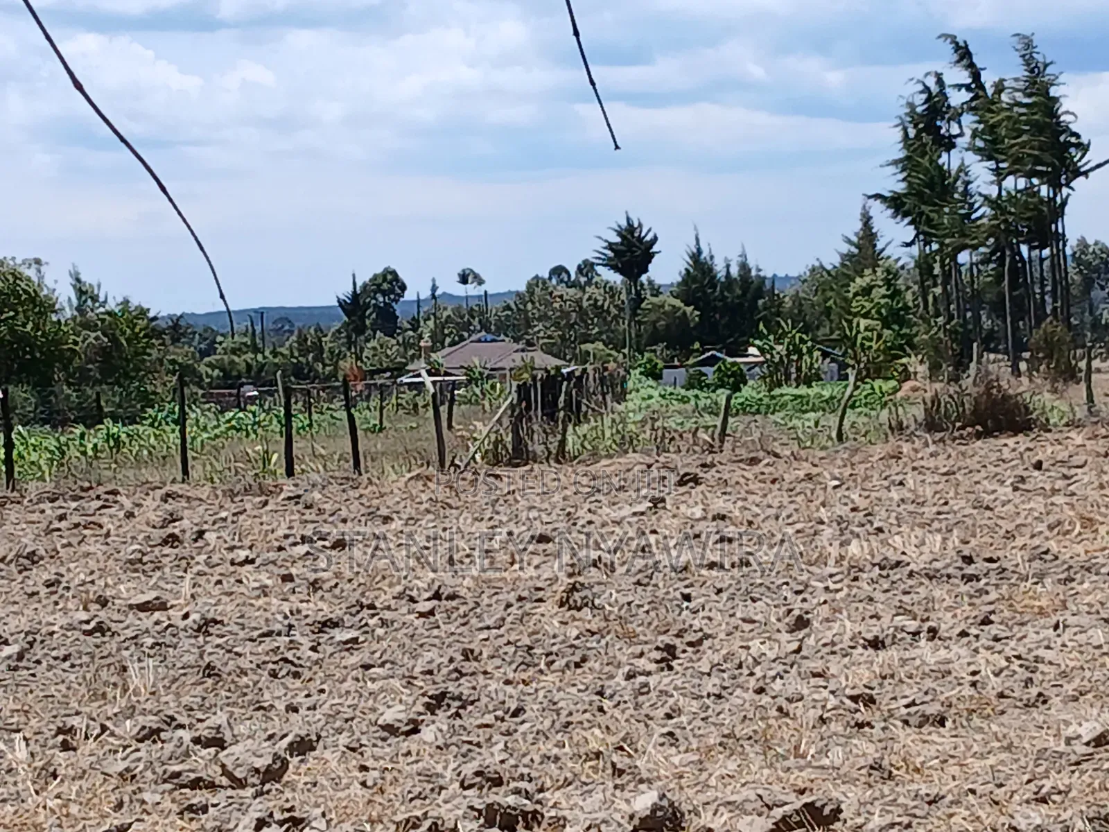 5 Acreas Narumoro on Moutain Side Near Nanyuki in Nanyuki