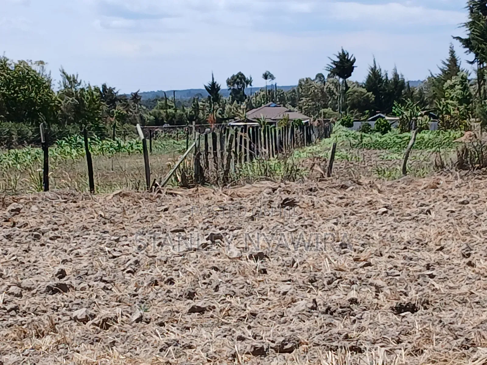 5 Acreas Narumoro on Moutain Side Near Nanyuki in Nanyuki