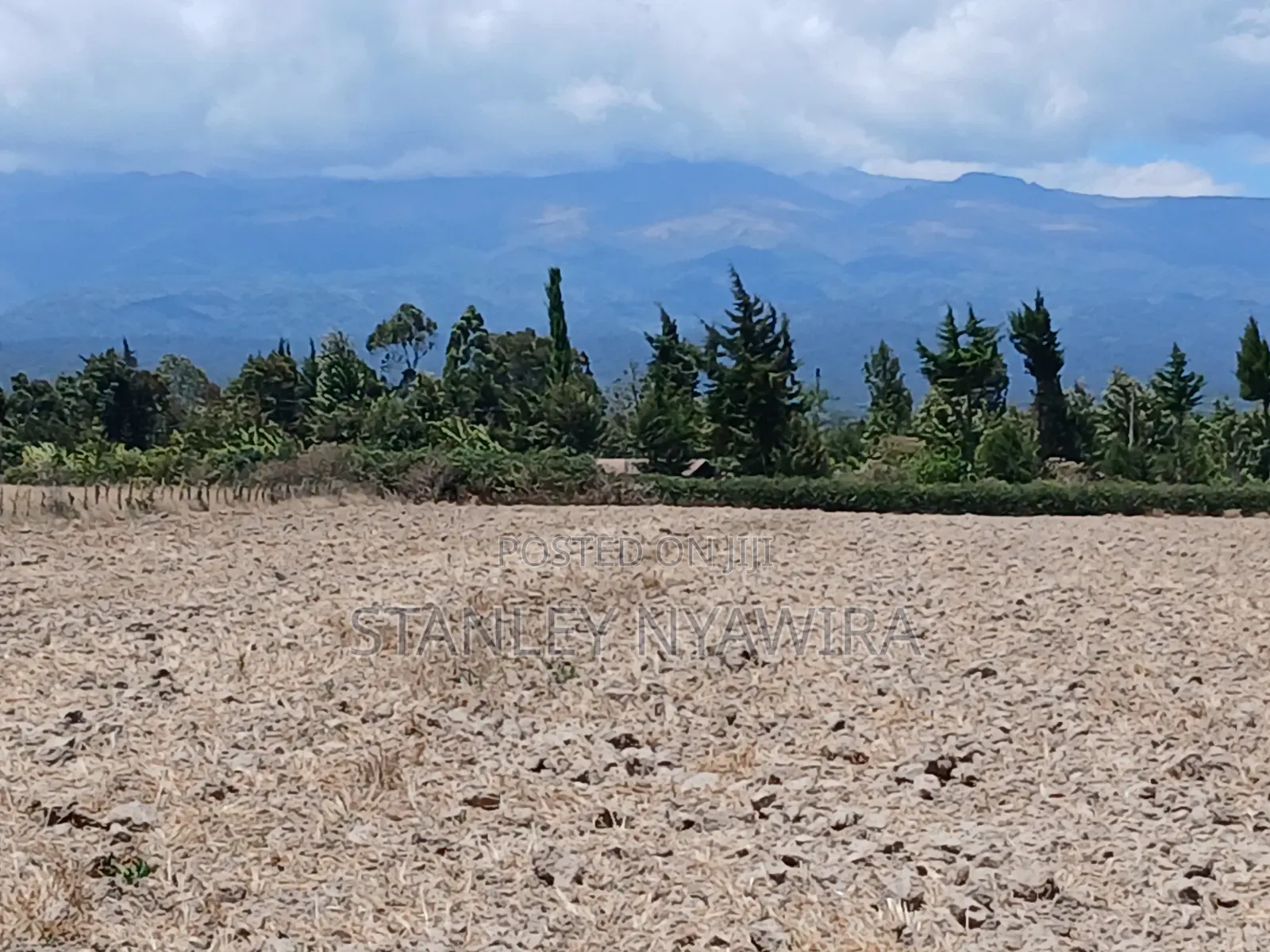 5 Acreas Narumoro on Moutain Side Near Nanyuki in Nanyuki
