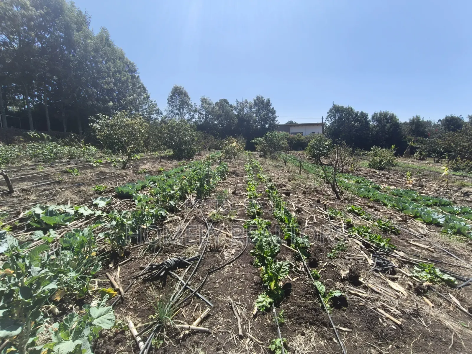 Two Acres of Land for Sale in Ngong, Ol Keri With Borehole and Farm in Ol Keri