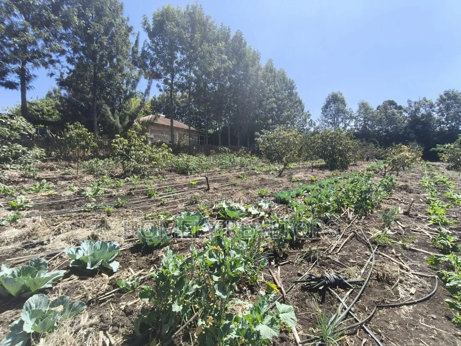 Two Acres of Land for Sale in Ngong, Ol Keri With Borehole and Farm in Ol Keri