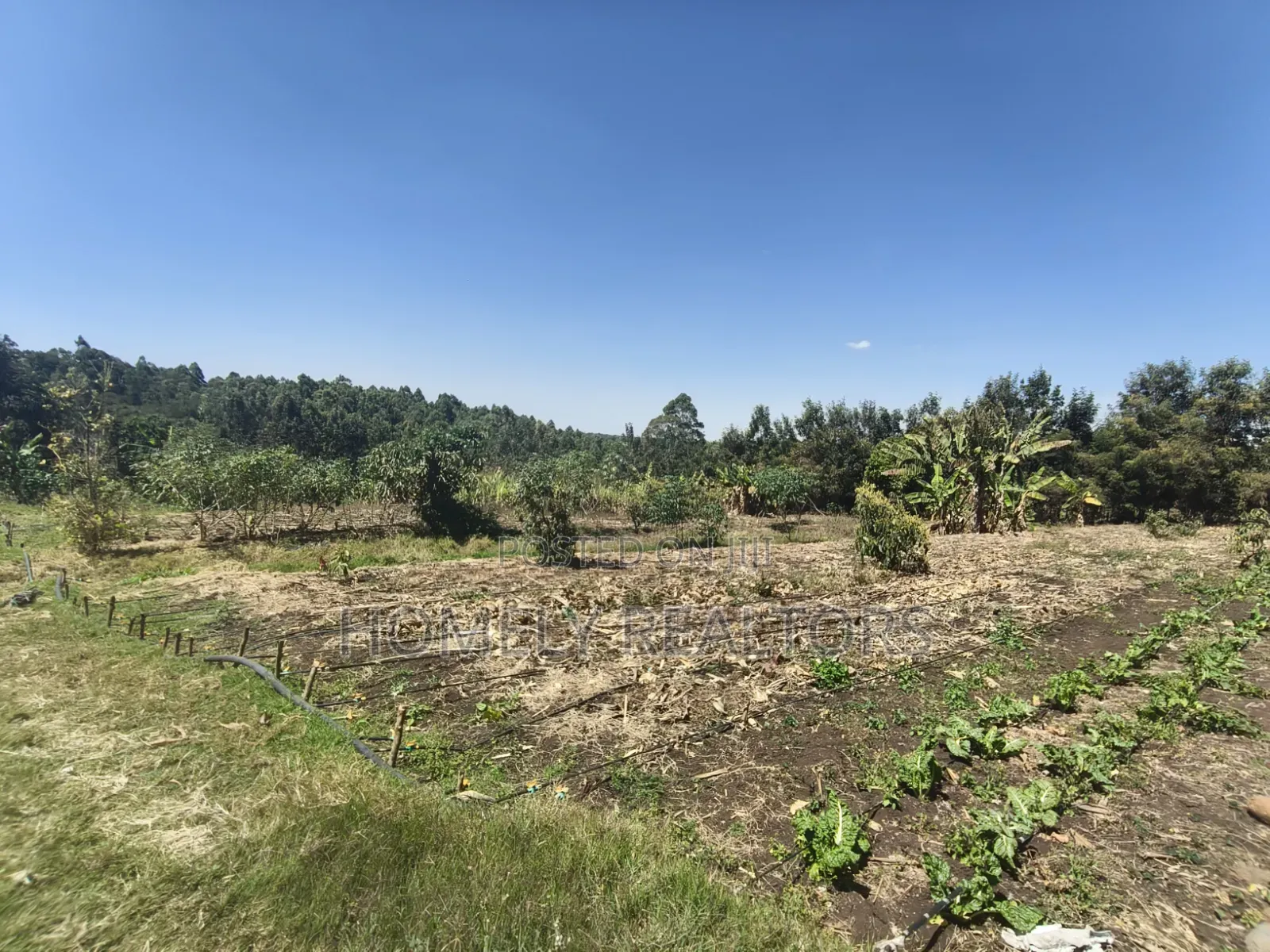 Two Acres of Land for Sale in Ngong, Ol Keri With Borehole and Farm in Ol Keri