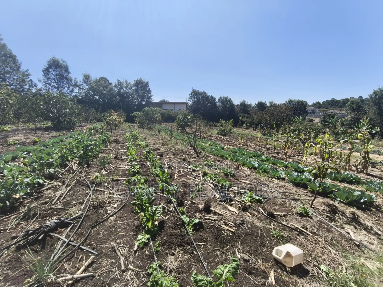 Two Acres of Land for Sale in Ngong, Ol Keri With Borehole and Farm in Ol Keri