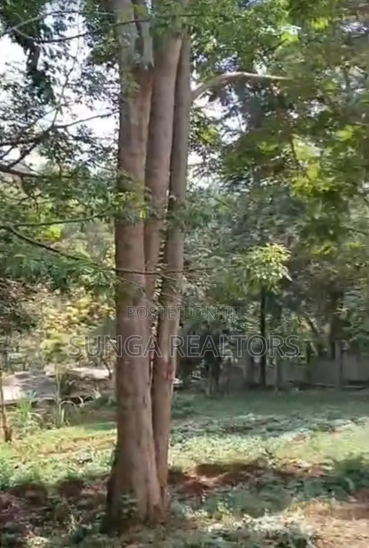 Land for Lease in Peponi Rd. in Spring Valley
