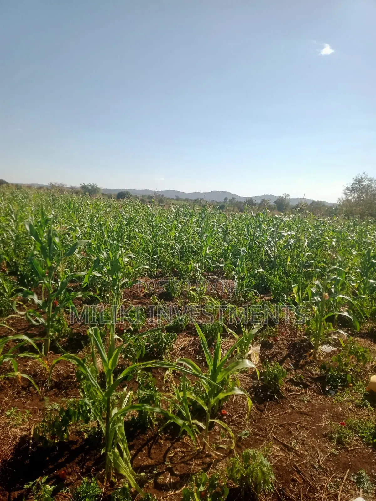 3 Acres on Sale at Murang'a -Mirira in Mbiri