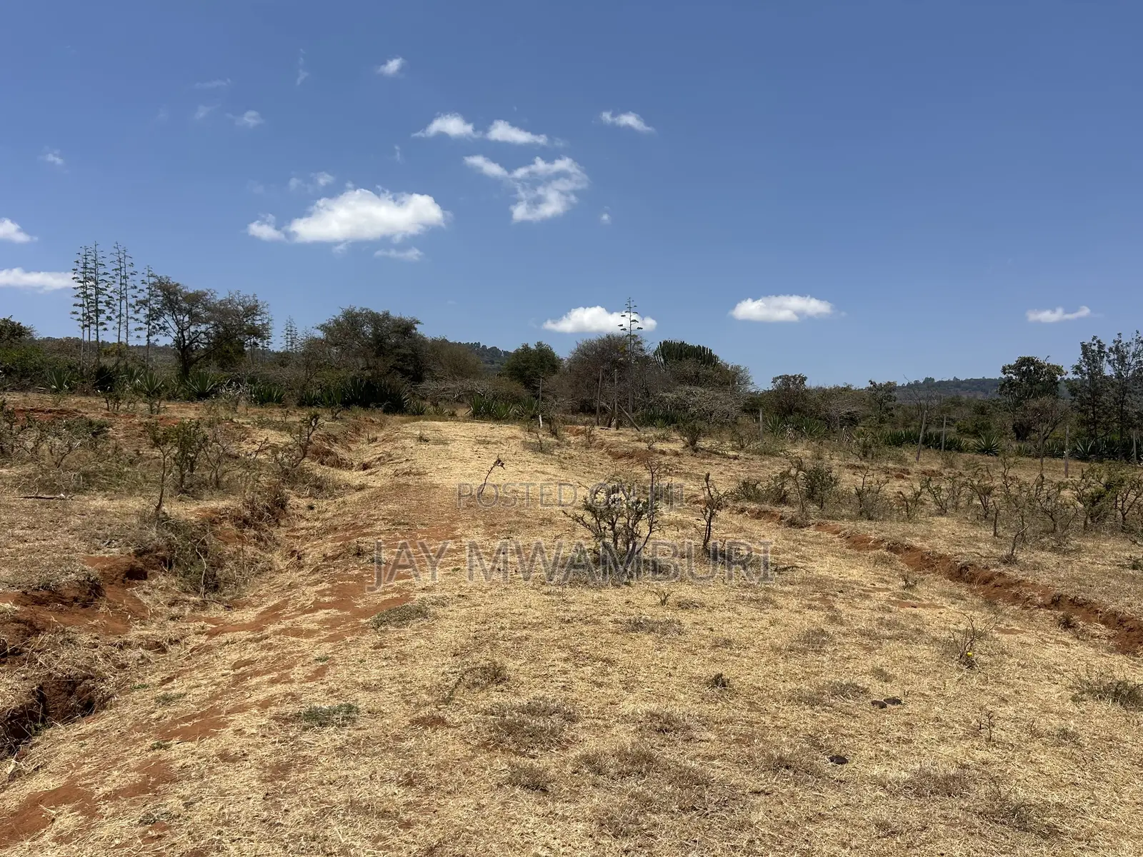 Perimeter Walled 42 Acre Land Kenanie. in Lukenya