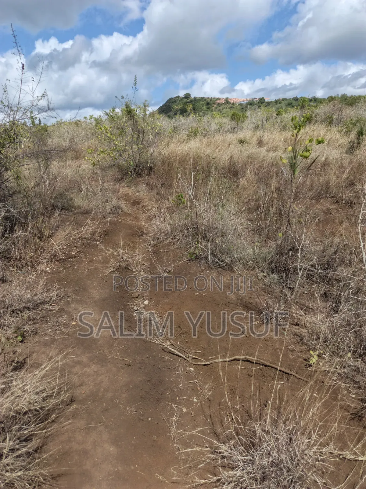 Land for Sale Kwale Kundutsi 8.1acres in Tsimba Golini