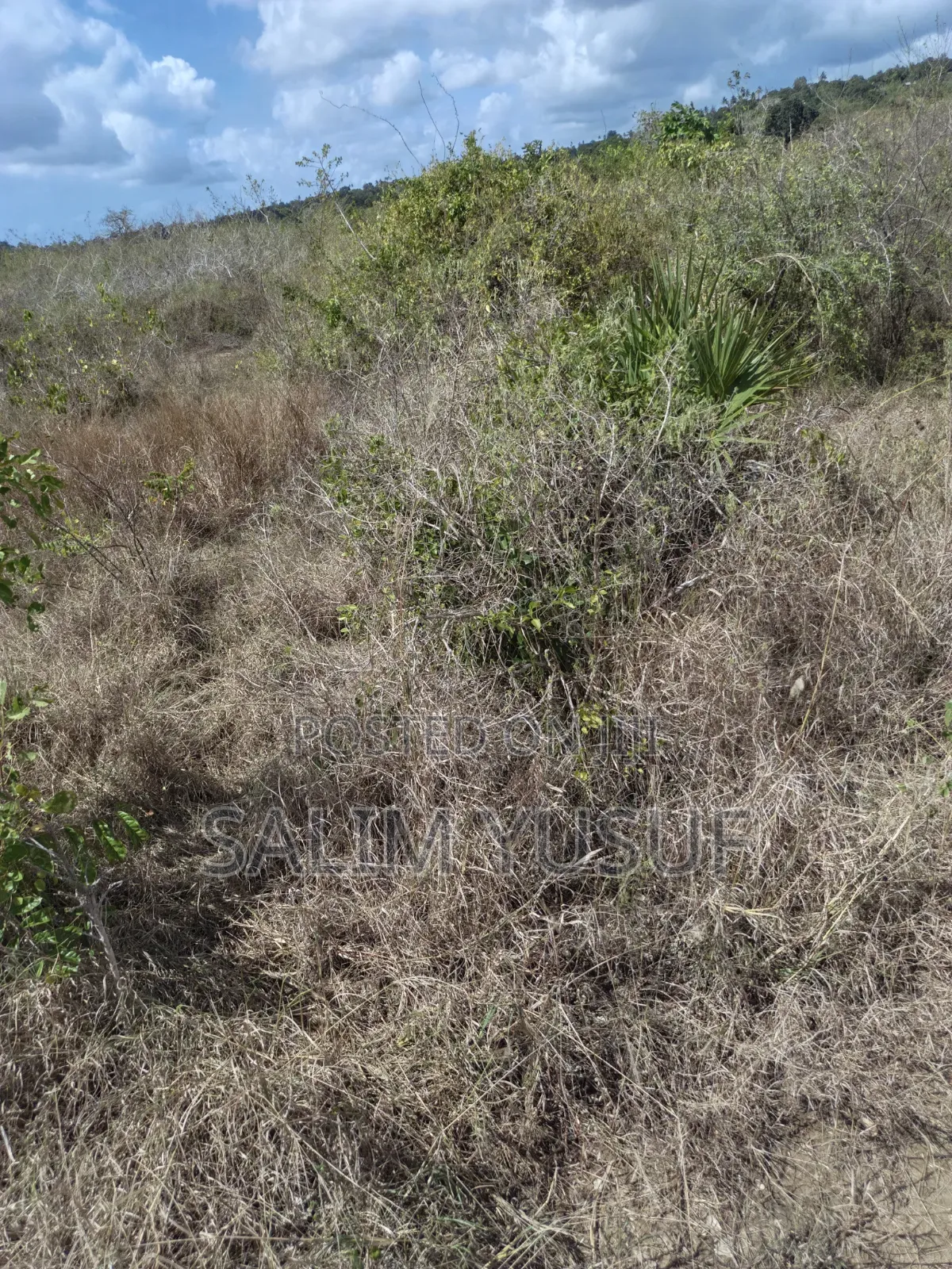 Land for Sale Kwale Kundutsi 8.1acres in Tsimba Golini