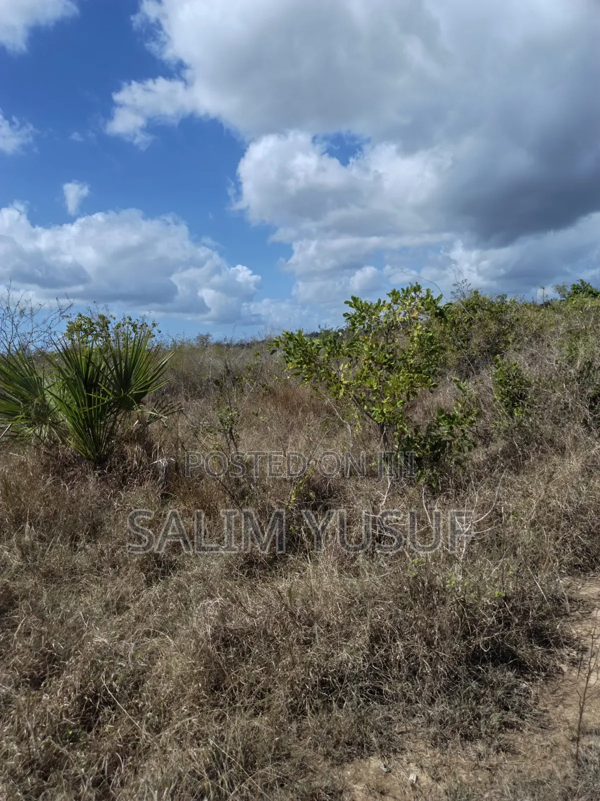 Land for Sale Kwale Kundutsi 8.1acres in Tsimba Golini