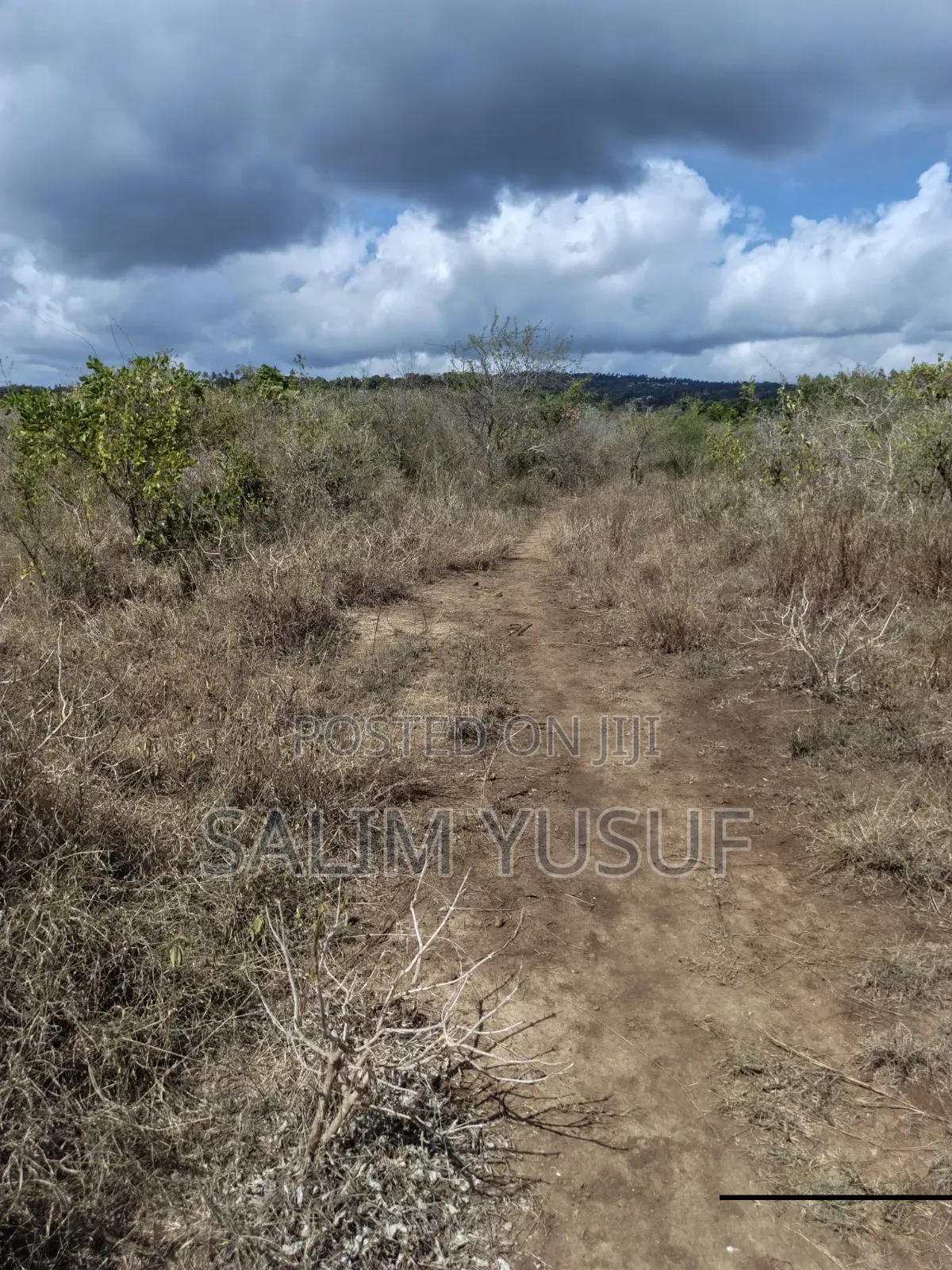 Land for Sale Kwale Kundutsi 8.1acres in Tsimba Golini