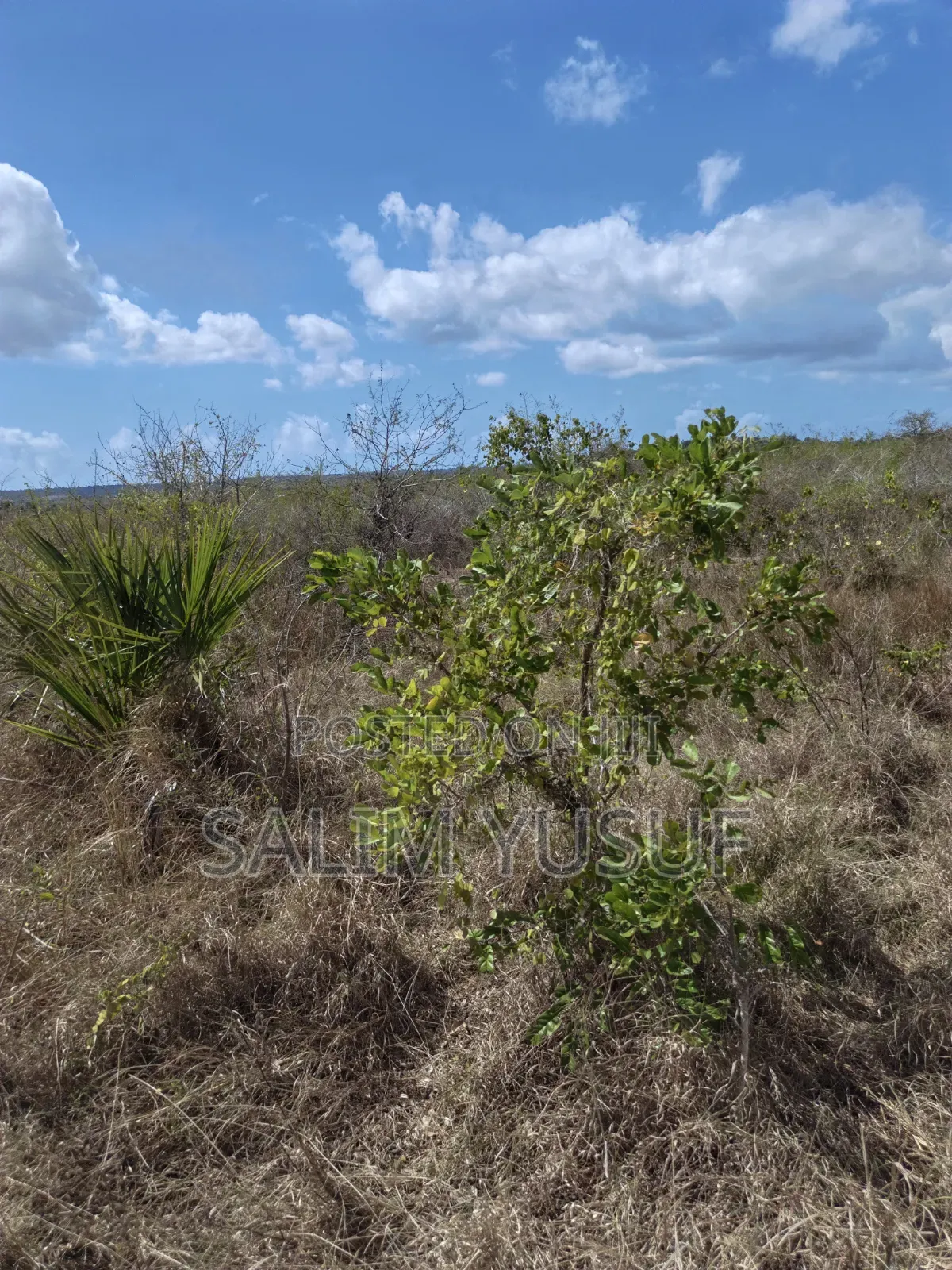 Land for Sale Kwale Kundutsi 8.1acres in Tsimba Golini