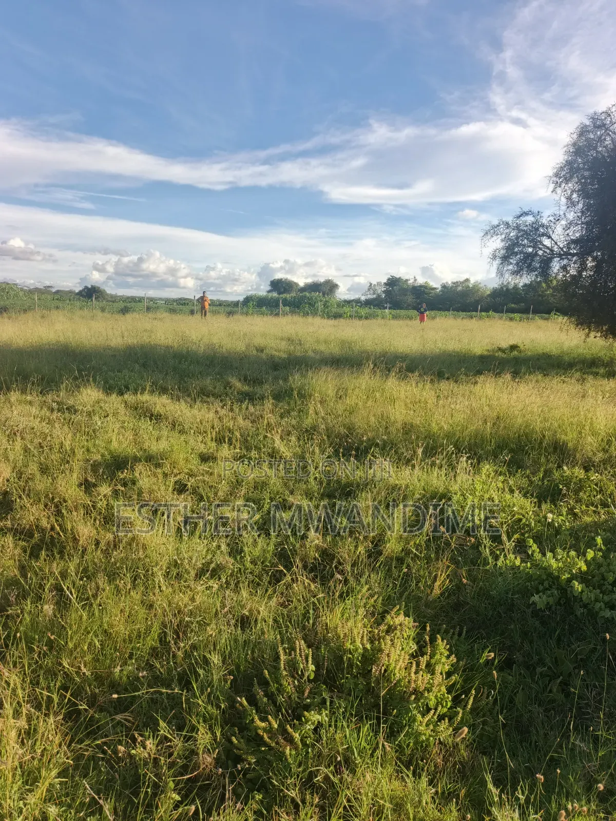 50×100 Plots in Kitengela in Kitengela