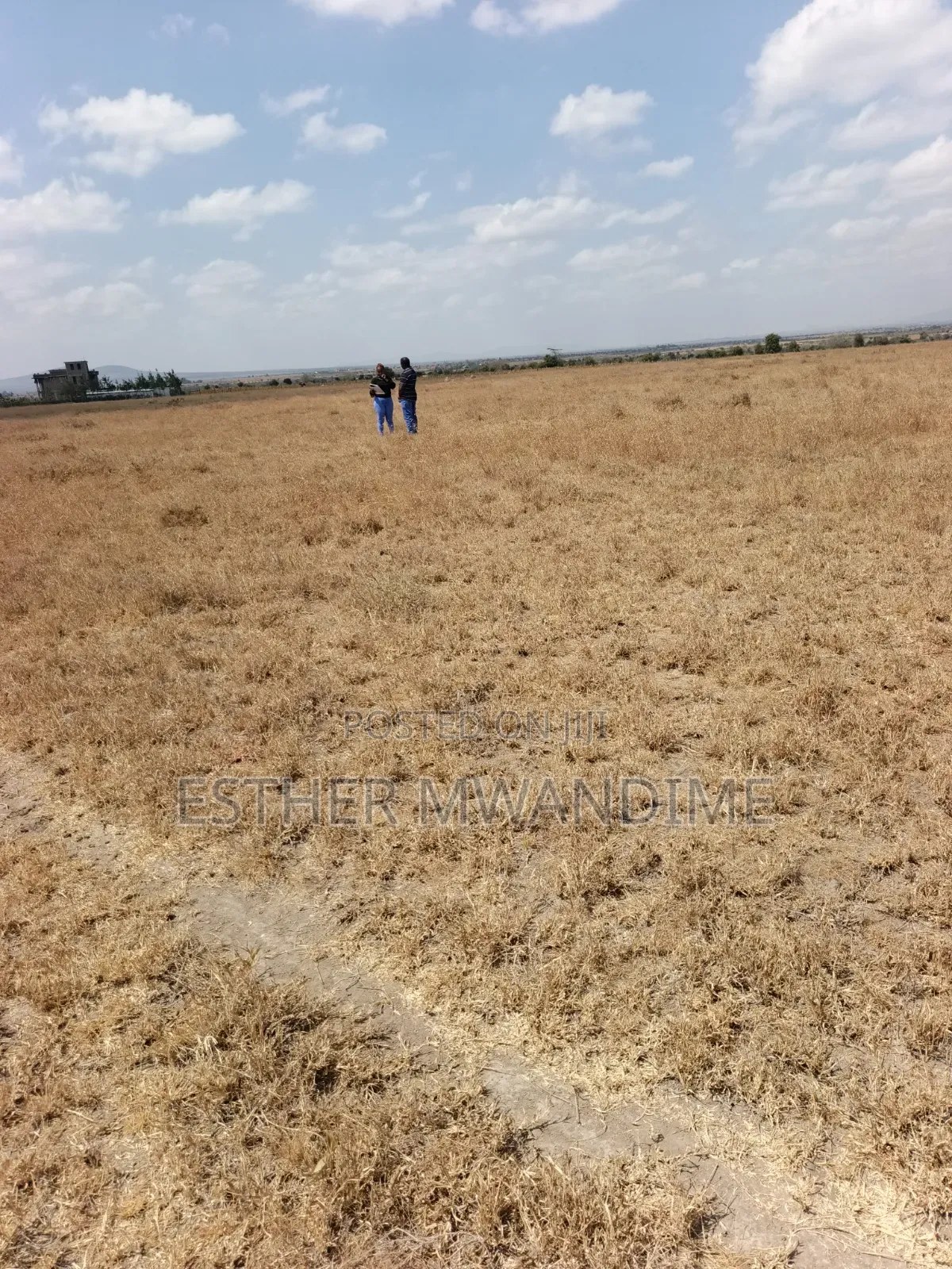 Mixed Property in Kitengela