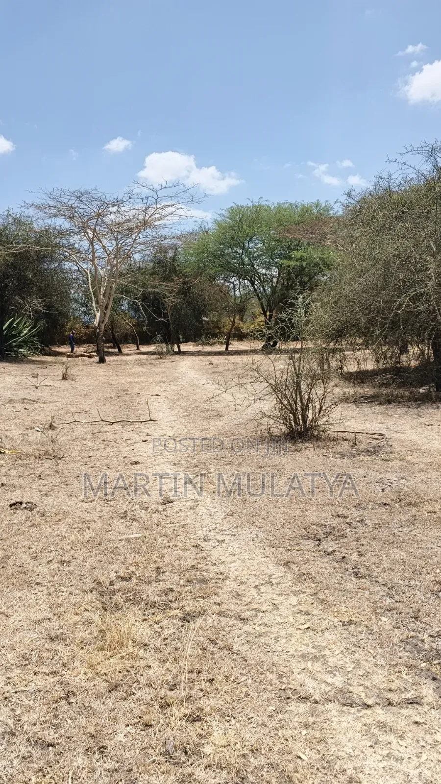 Prime Plot 50×100 for Sell in Junction