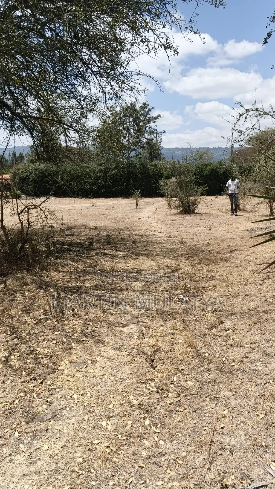Prime Plot 50×100 for Sell in Junction