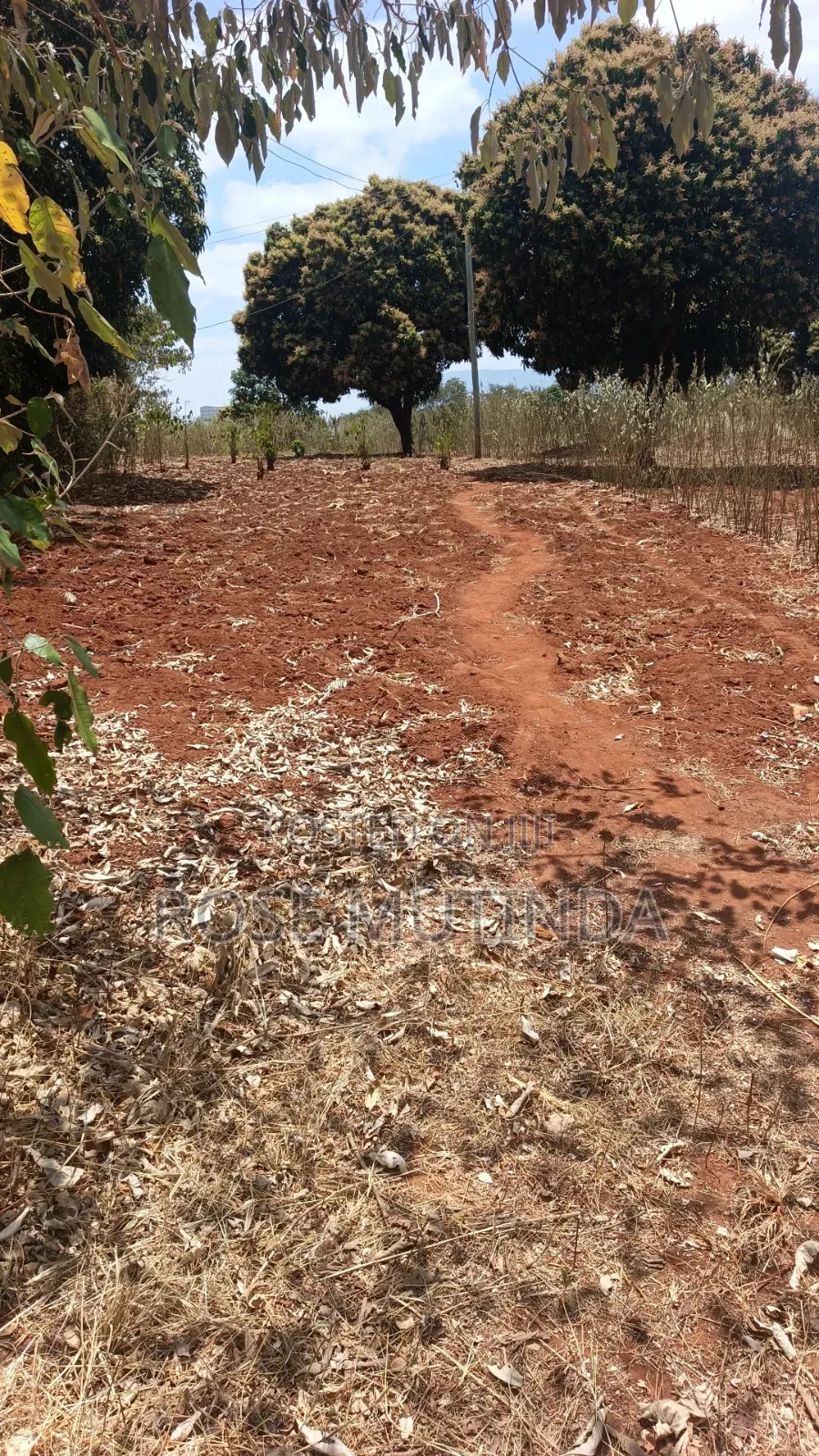 3guater Acre in Tala in Tala