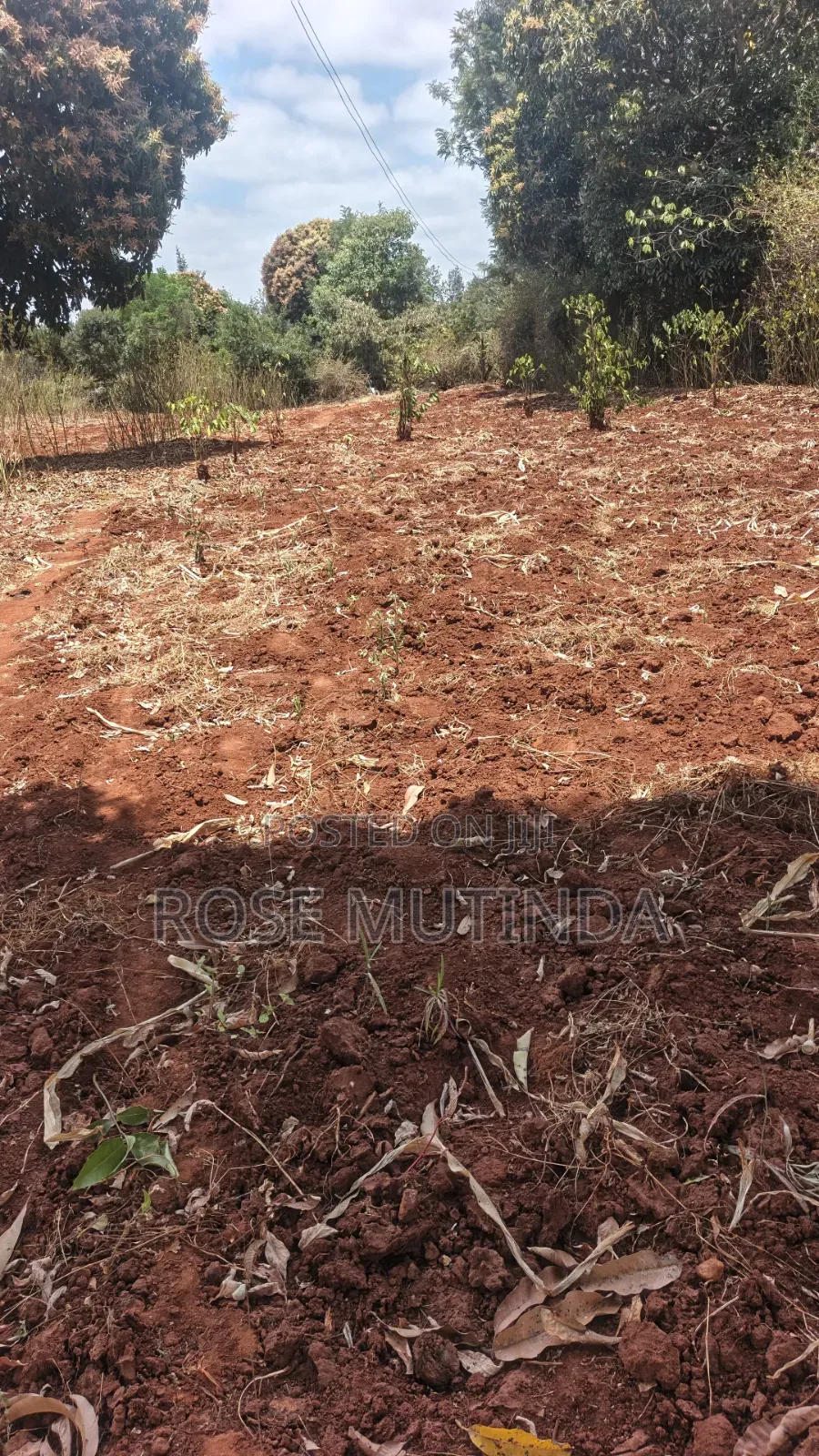 3guater Acre in Tala in Tala