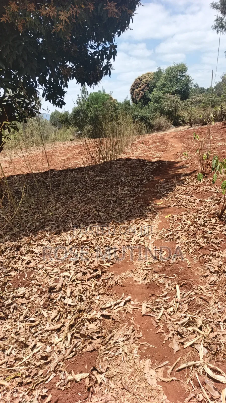 3guater Acre in Tala in Tala