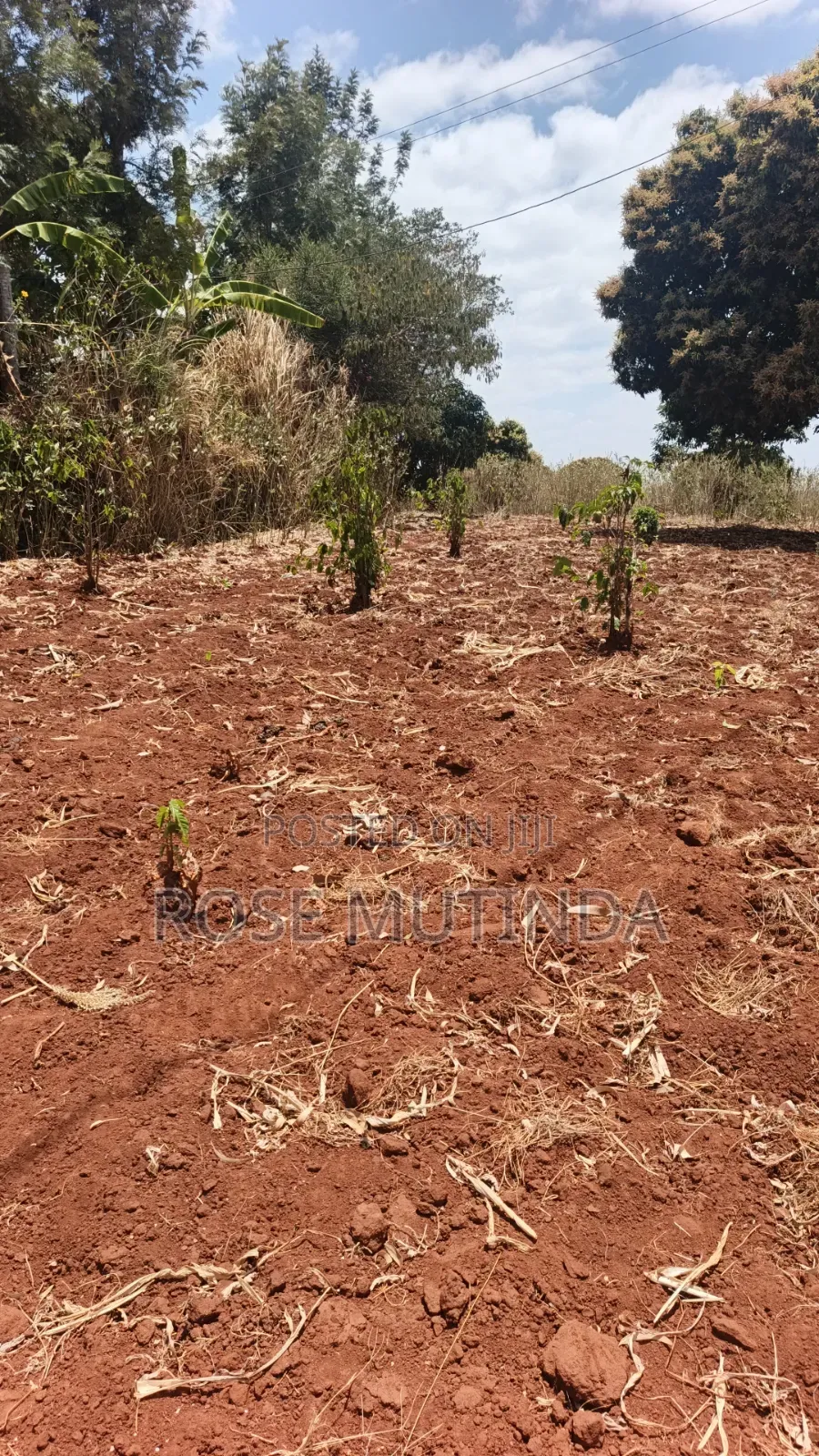 3guater Acre in Tala in Tala