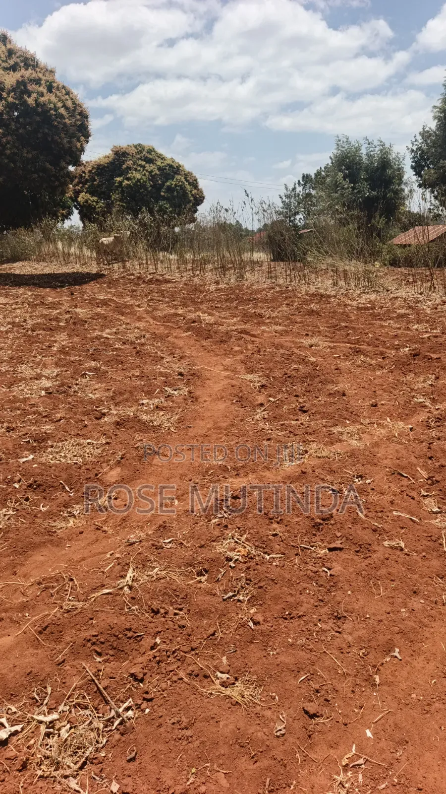 3guater Acre in Tala in Tala