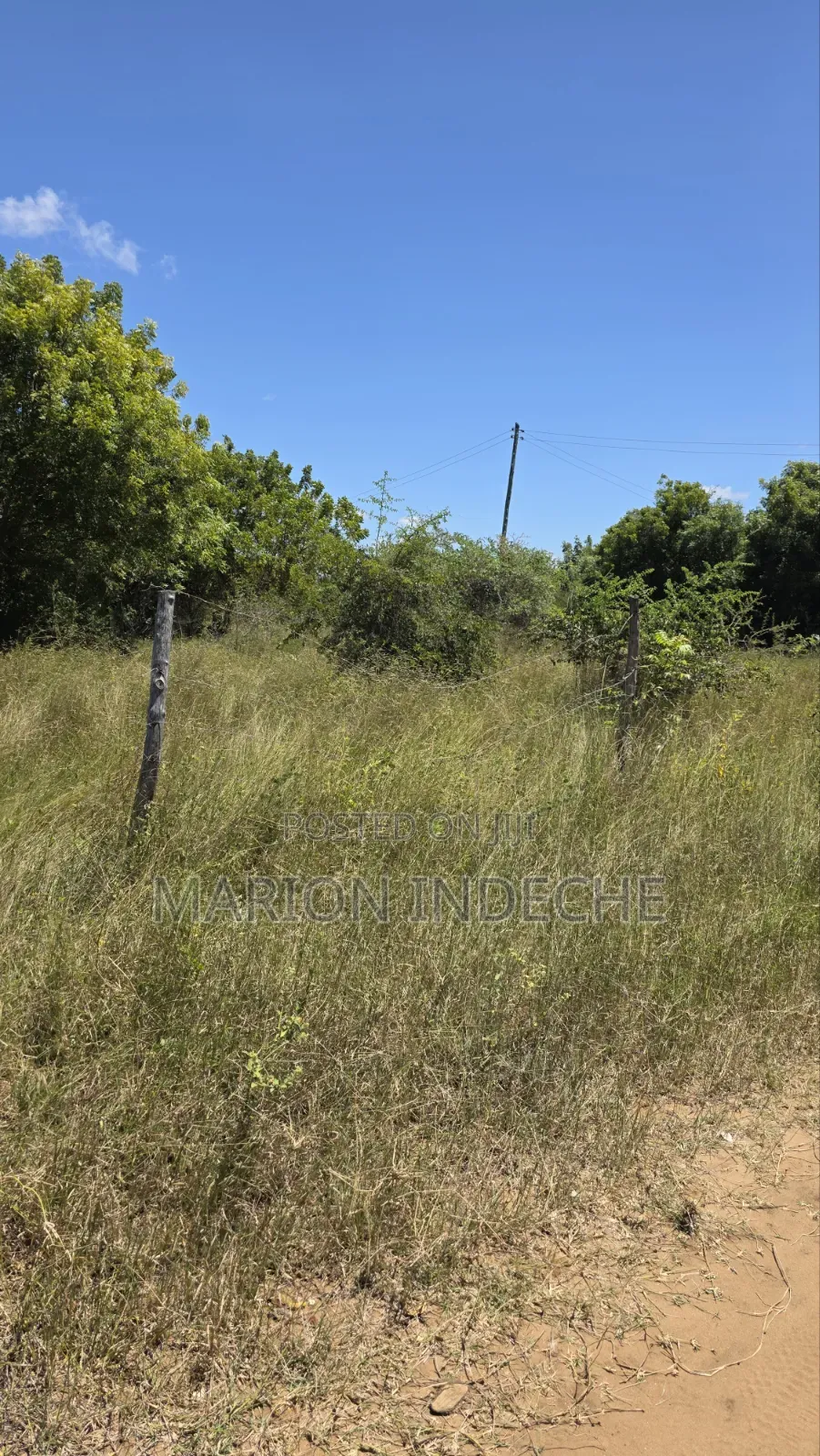 Prime 50x100ft Plot for Sale in Kilifi in Mnarani