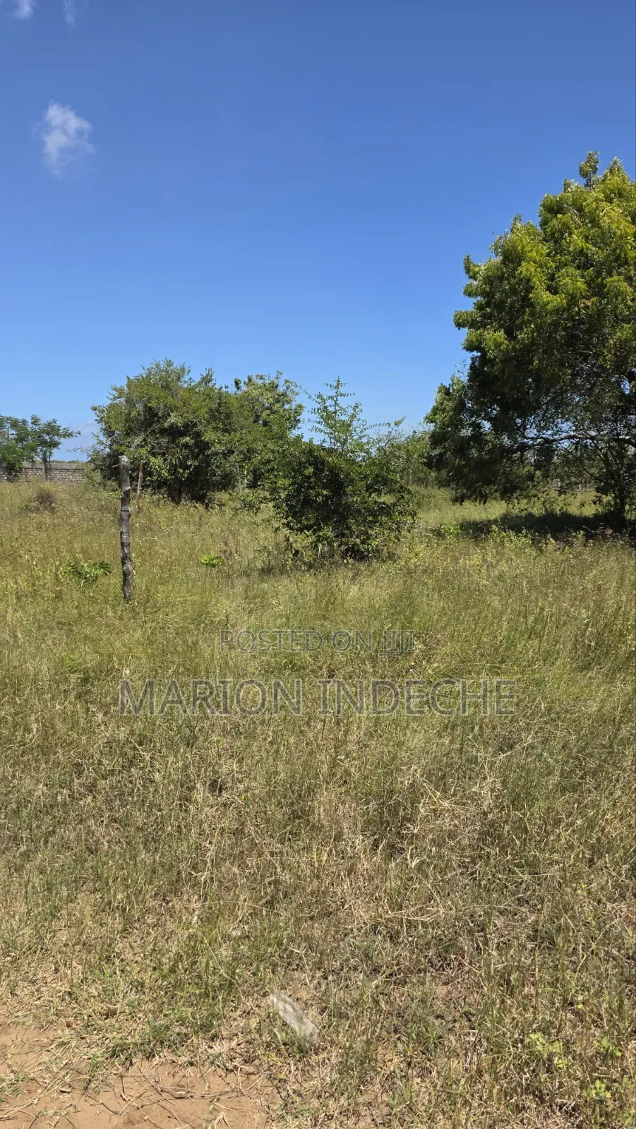 Prime 50x100ft Plot for Sale in Kilifi in Mnarani